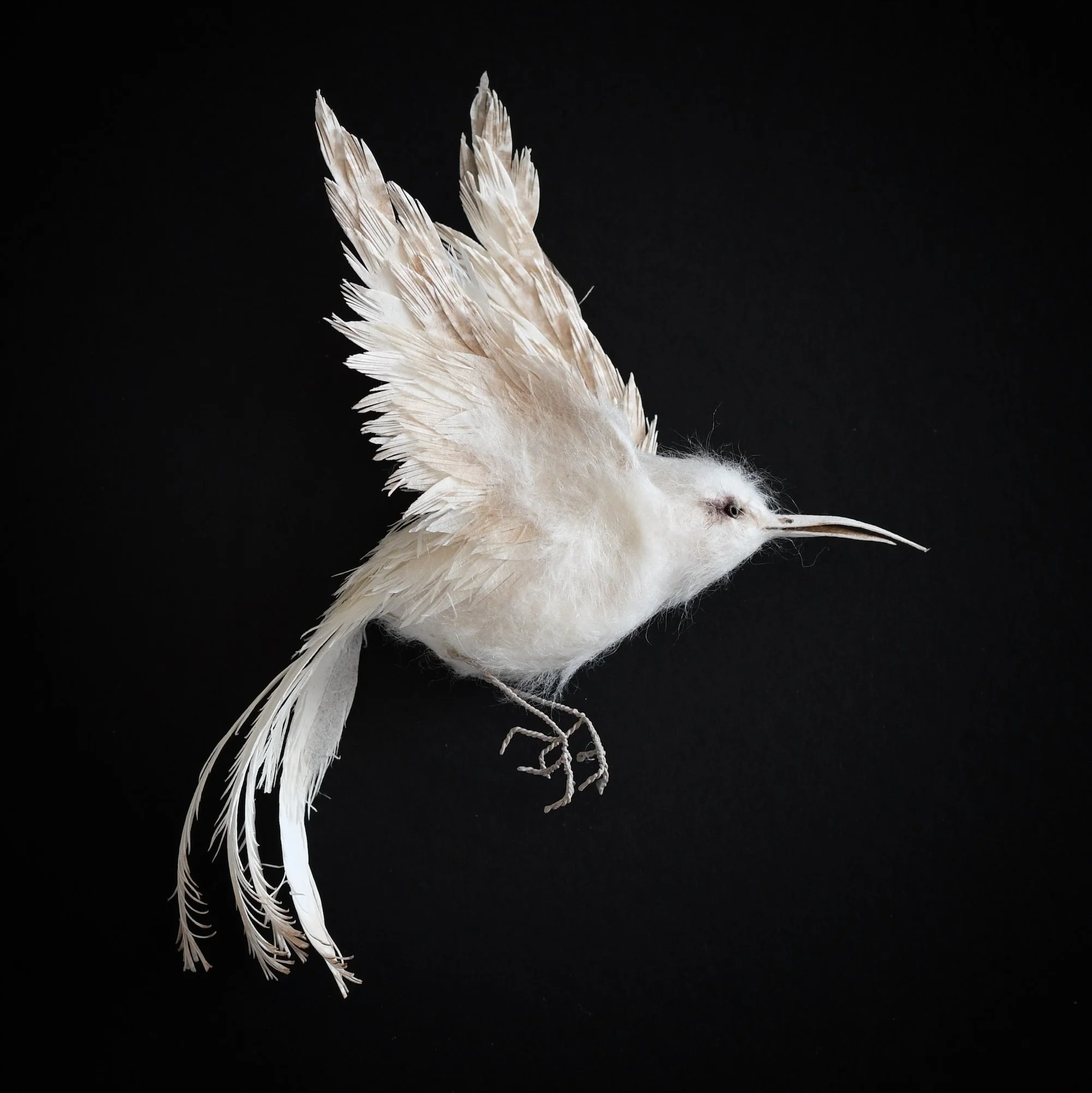 Colleen Southwell | The Light of Dawn | Paper