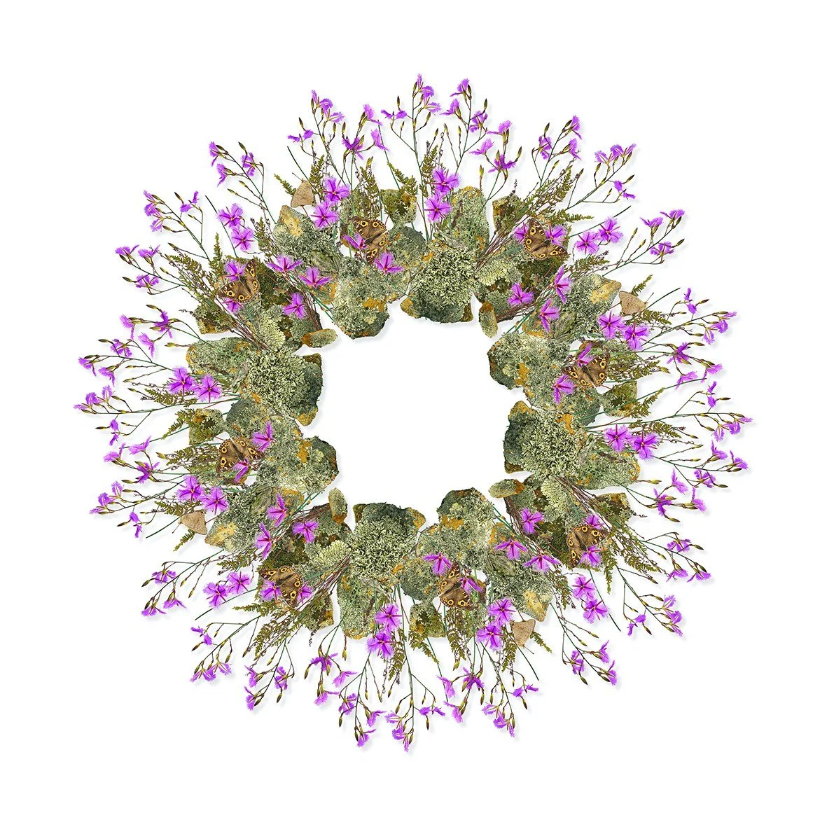 GOST_Jason McDonald_Fringe Lily_unframed_low res.jpg