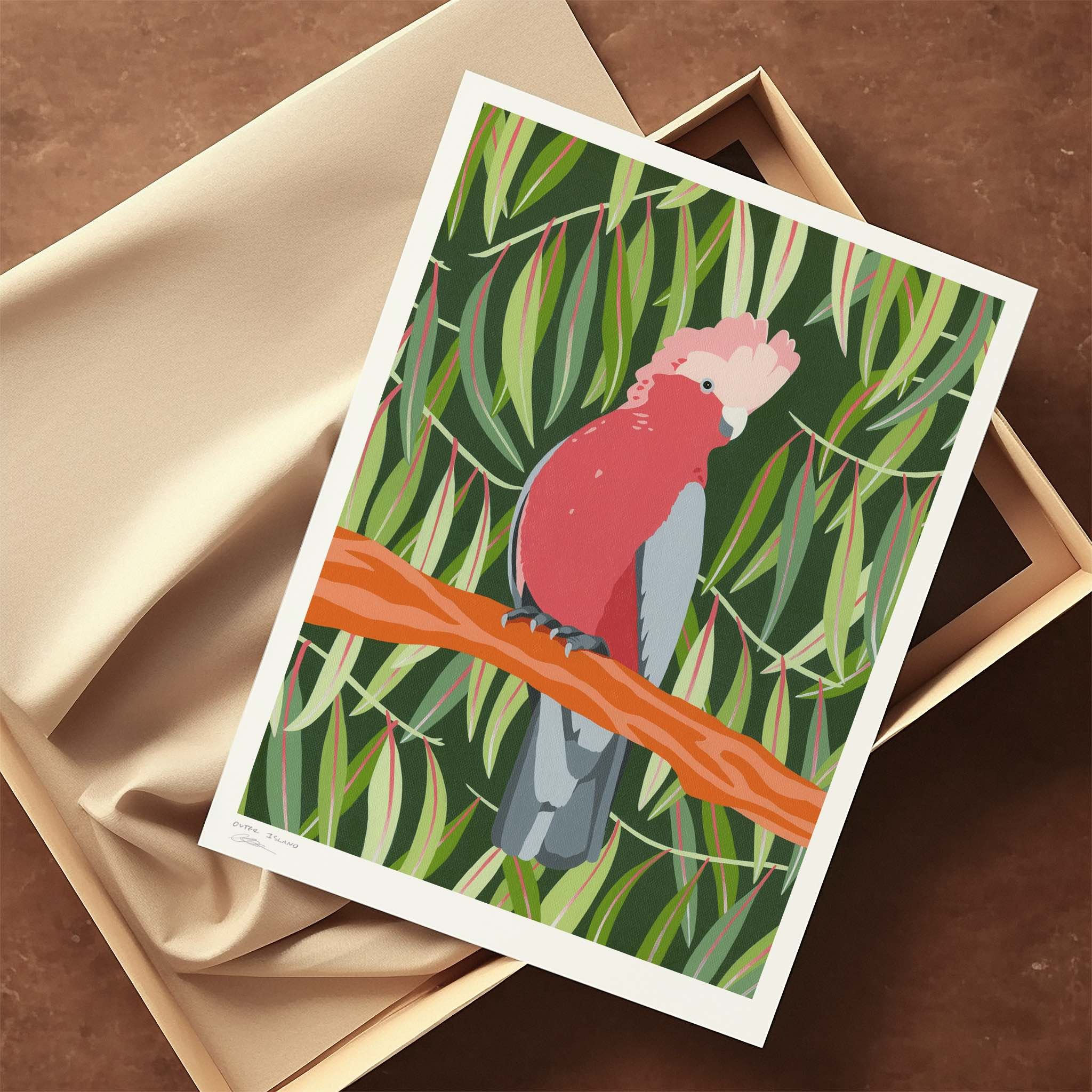 Gum-Galah-Archival-Print-Museum-Grade-Copyright-Outer-Island.jpg
