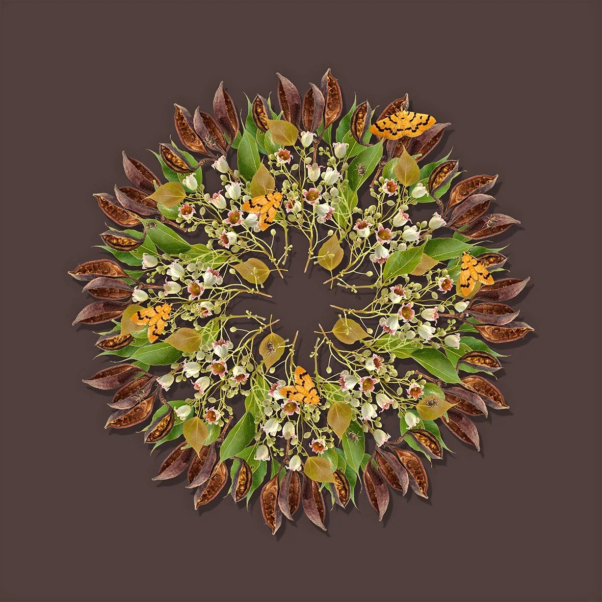 GOST_Jason McDonald_Kurrajong_unframed_low res.jpg