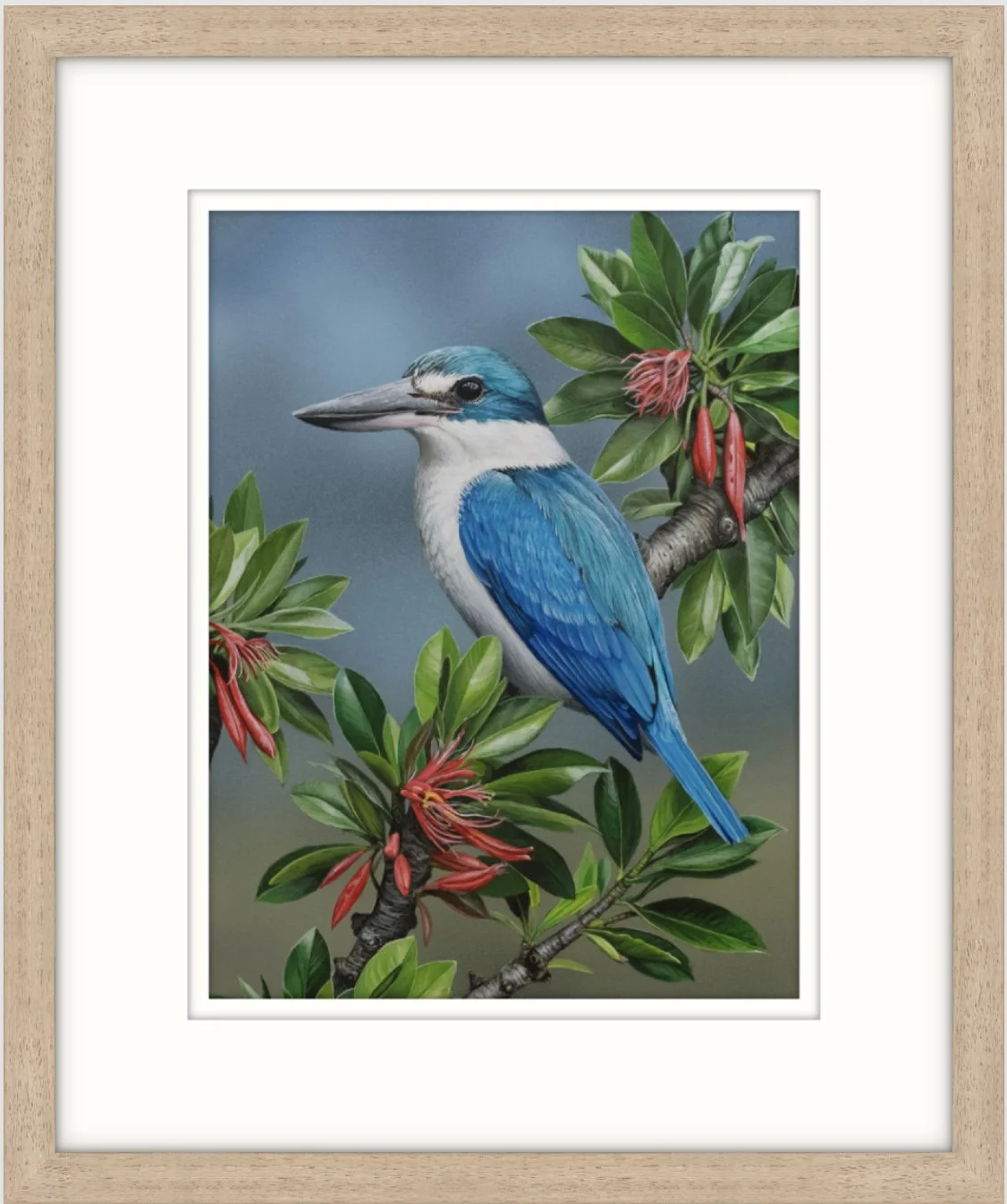 Greg Oakley | Collared Kingfisher | Painting