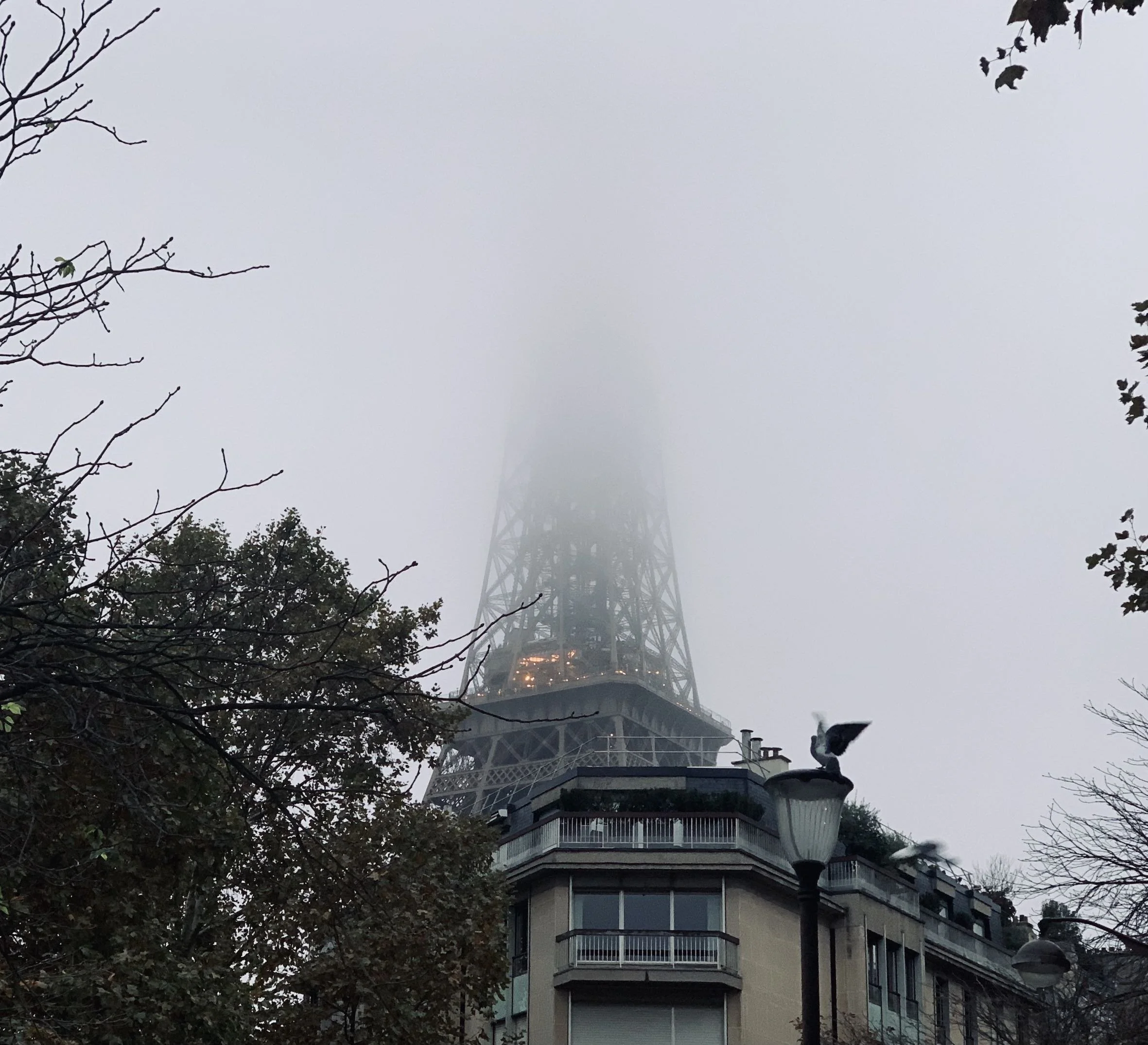GOST_Melissa Hammond_Paris 2_low res.jpg