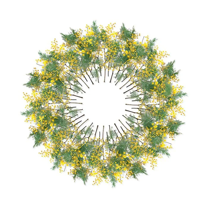 GOST_Jason McDonald_Black Wattle white background_unframed_low res.jpg