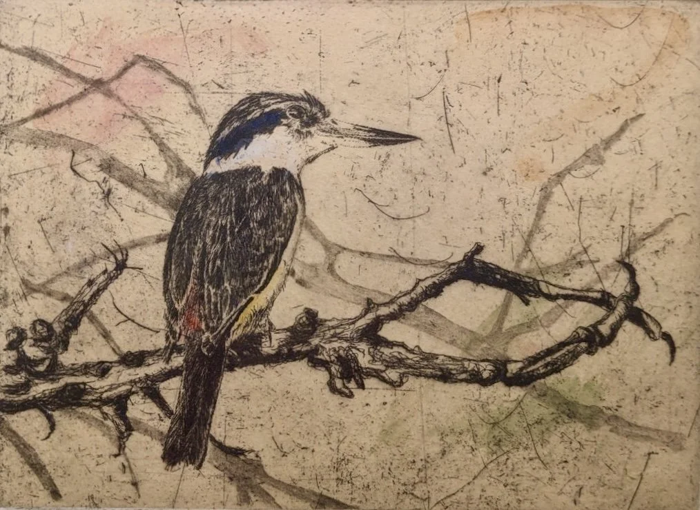GOST_Martin King_Birdwatch #24_detail.jpg