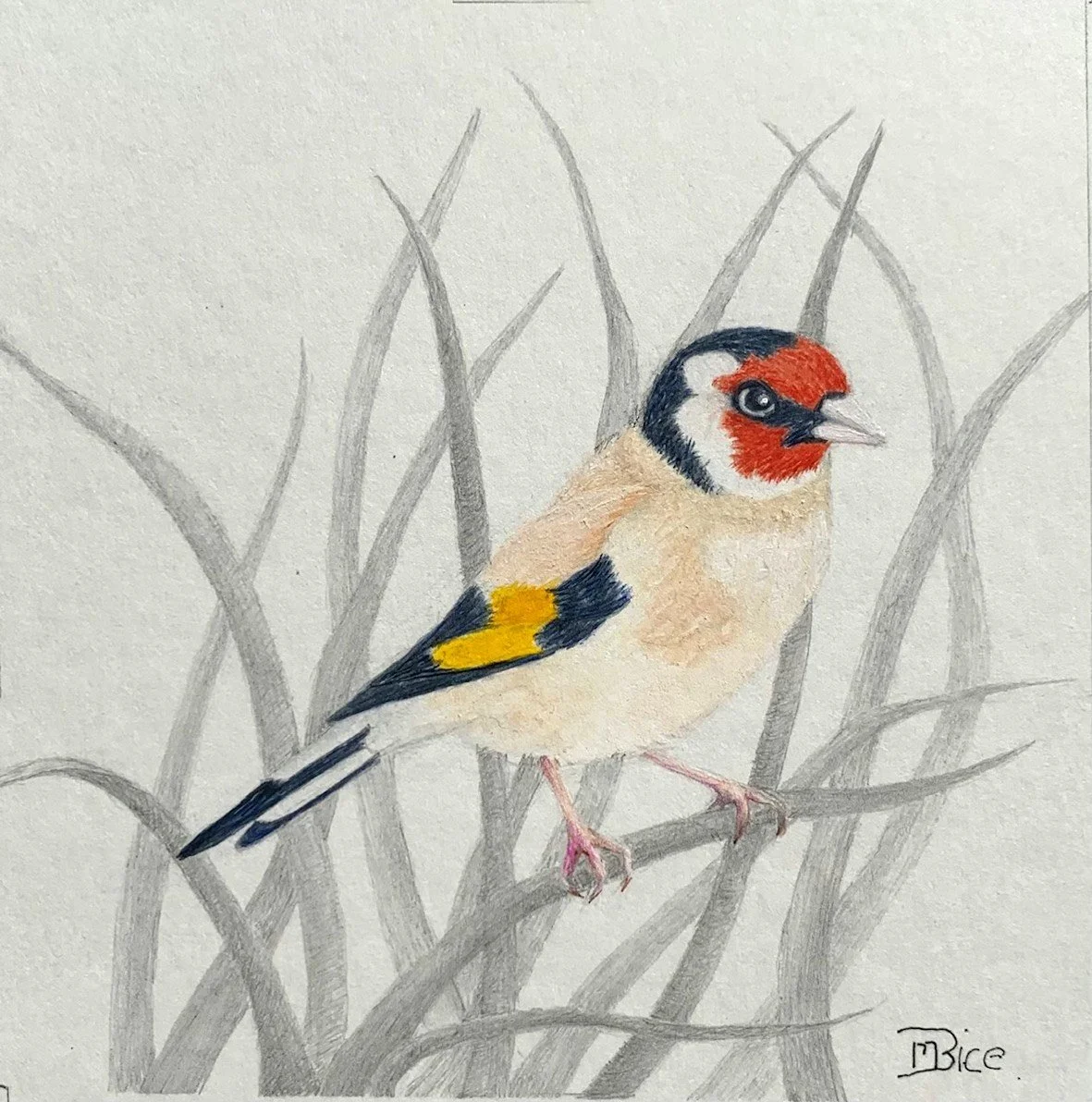 GOST_Margaret Bice_Gold Finch_mixed media.jpg