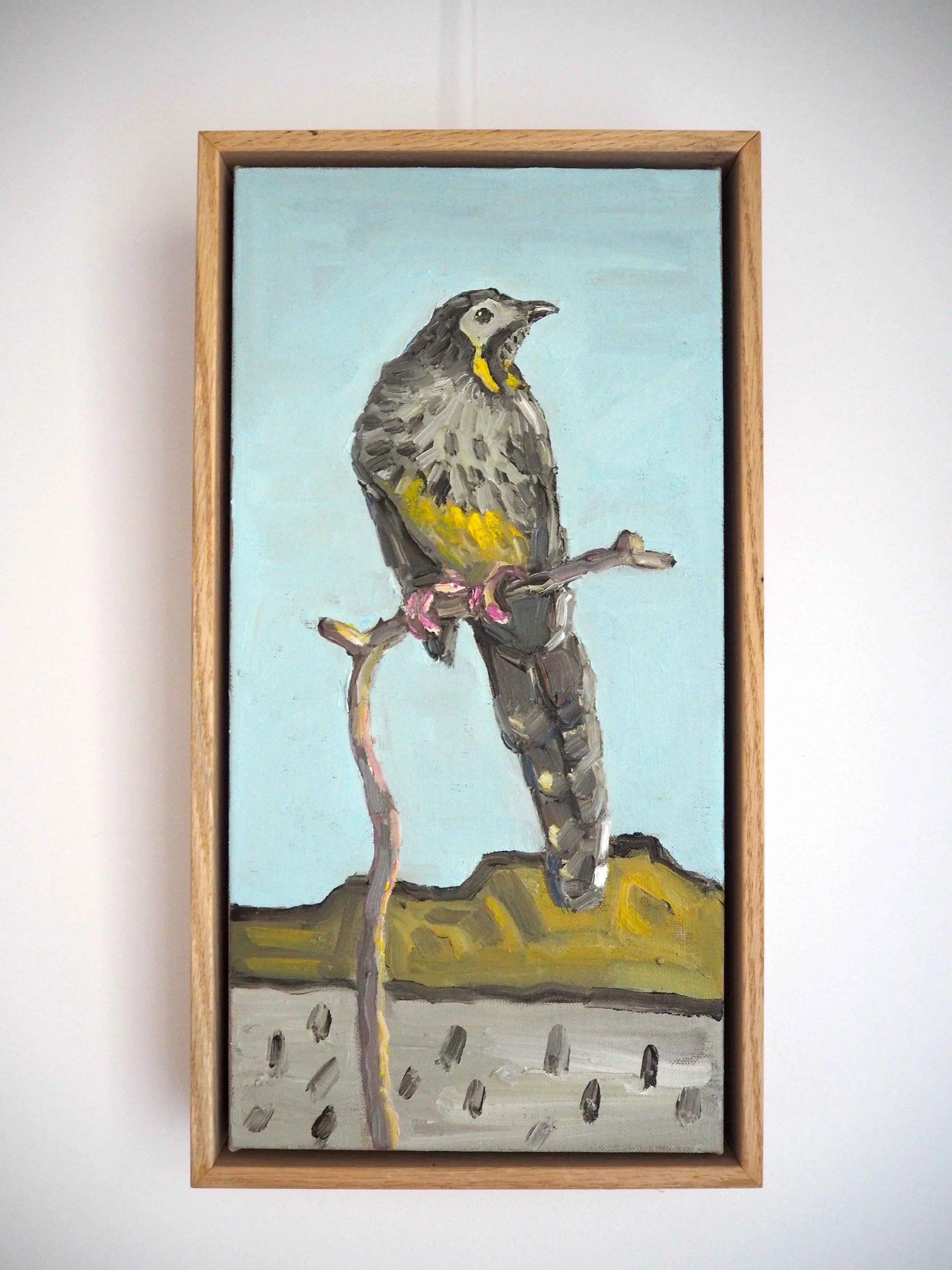 Jane Guthleben | Wattle Bird | Painting