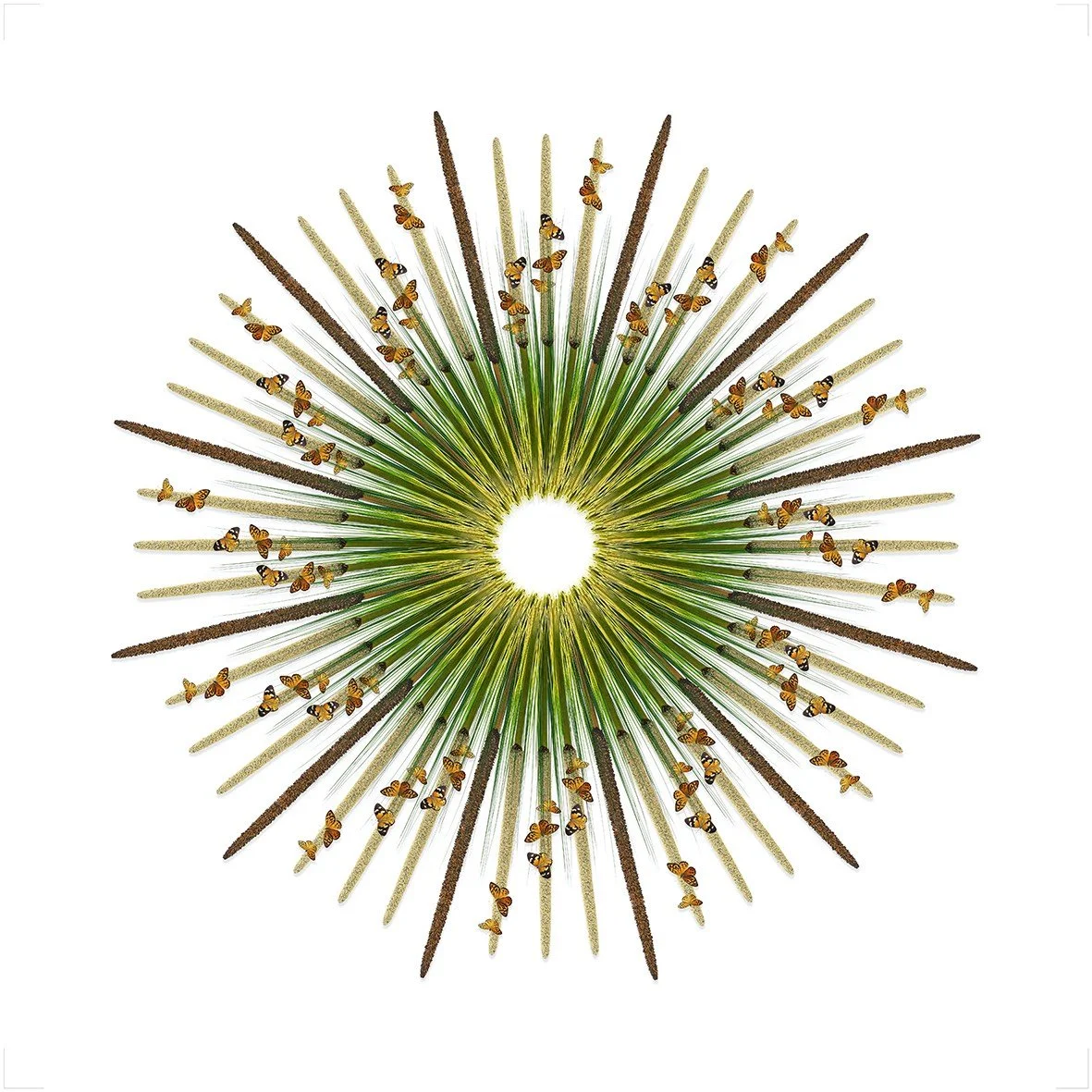 GOST_Jason McDonald_Grass tree_unframed_low res.jpg