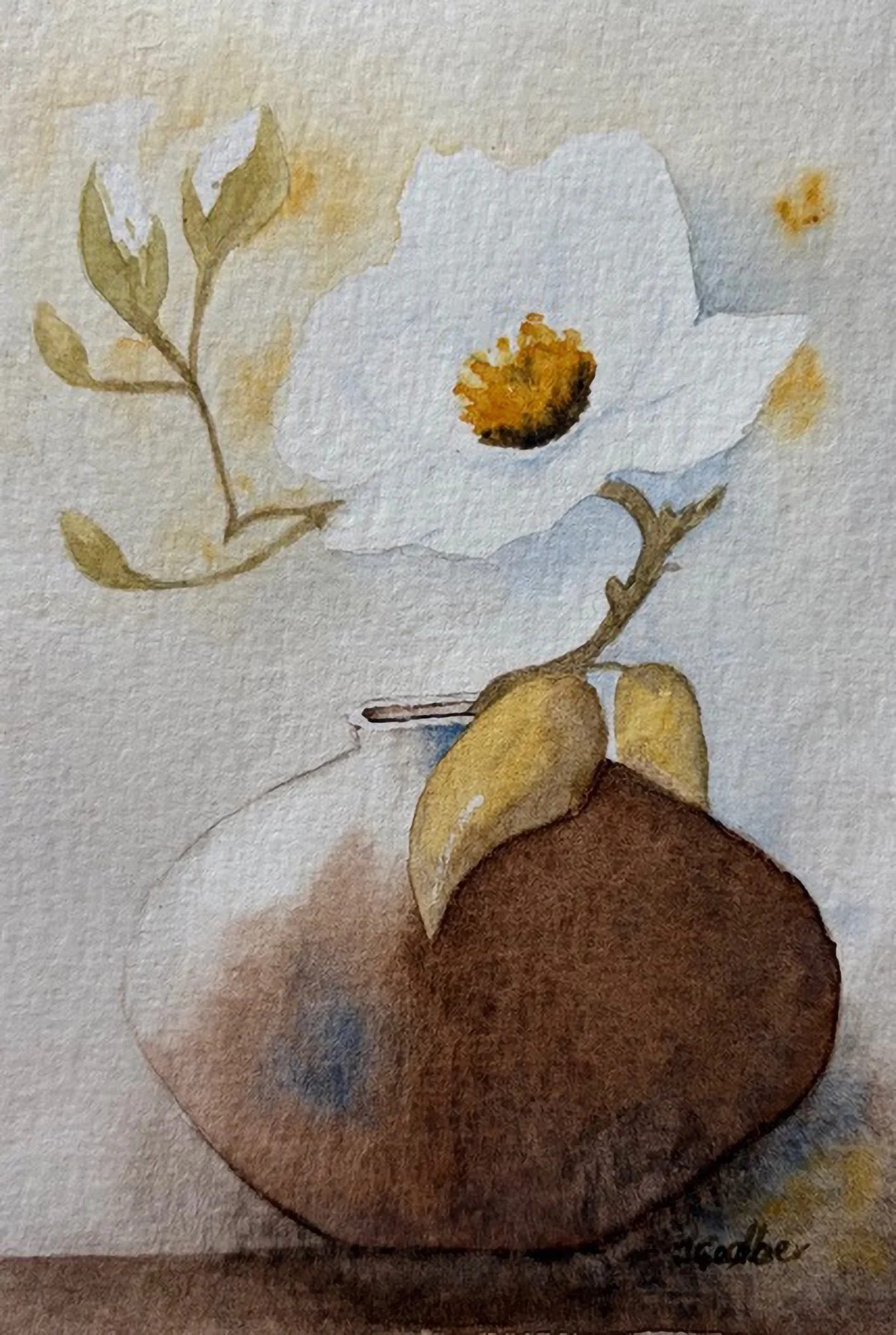 GOST Jane Godber- Beautiful Magnolia blossom in watercolour_low res.jpg
