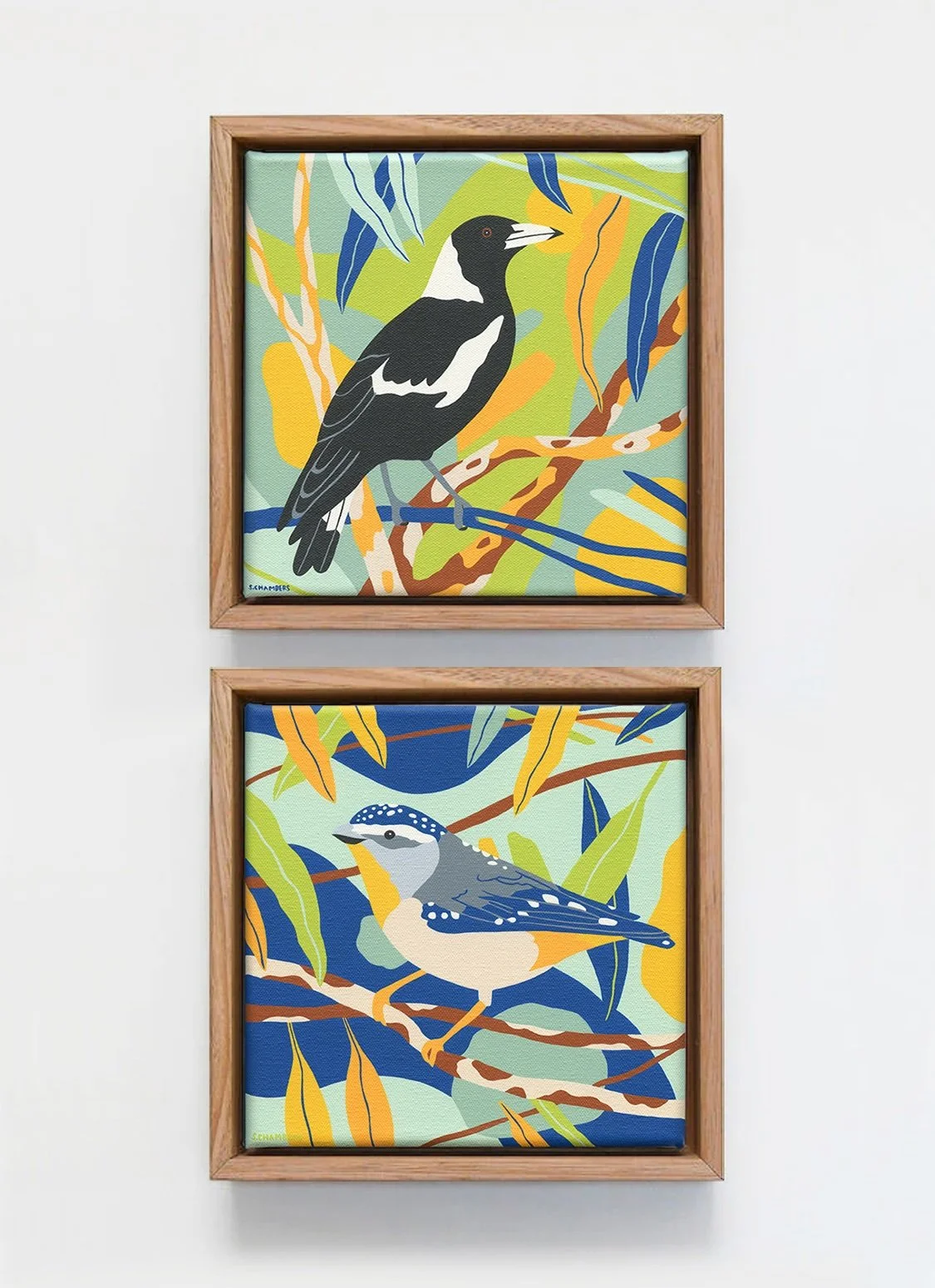 GOST_Magpie-Spotted-Pardalote-Painting-Stephanie-Chambers-Copyright-Outer-Island_low res.jpeg