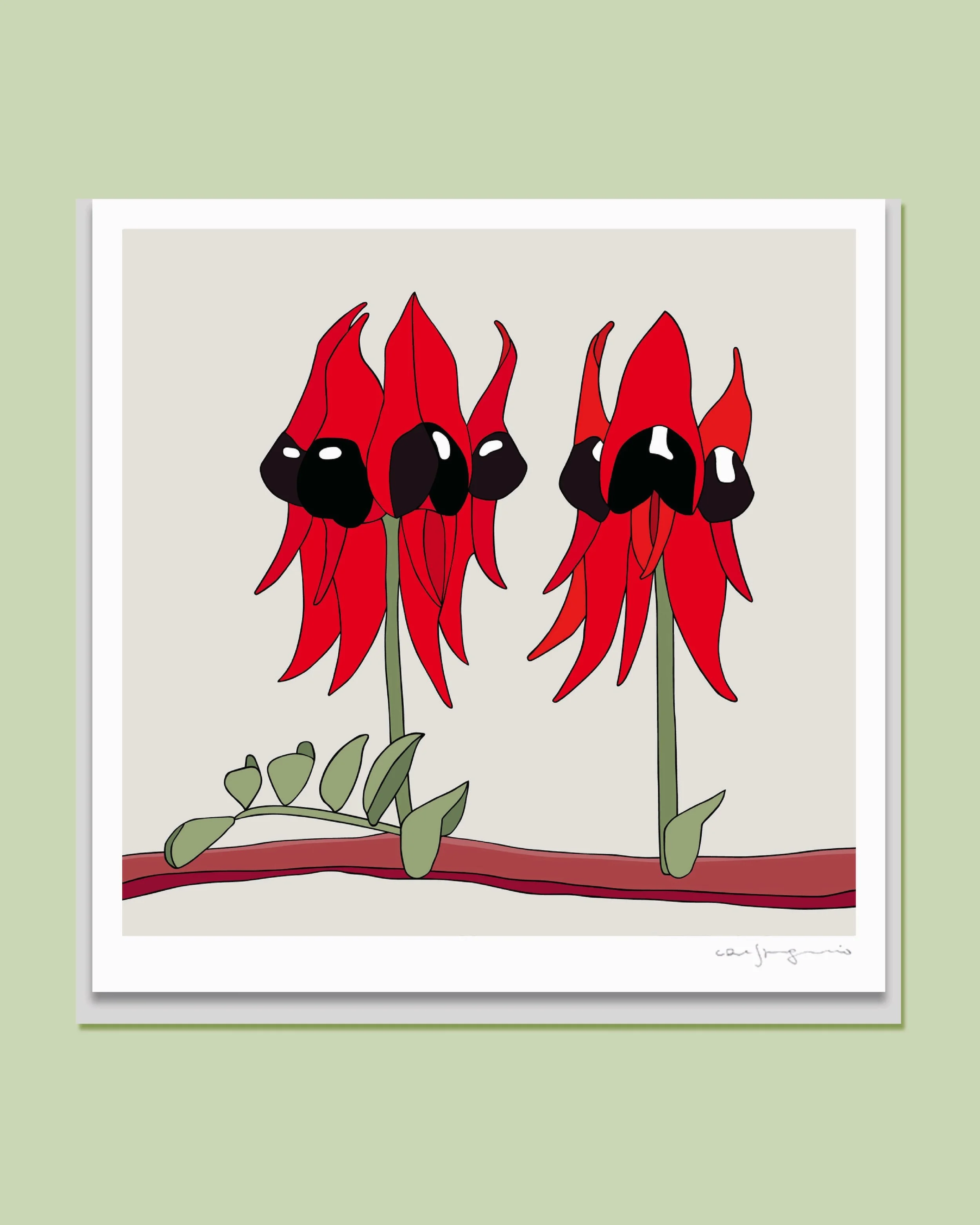 GOST_Eggpicnic_Sturt Desert Pea_Merry Green_low res.jpeg