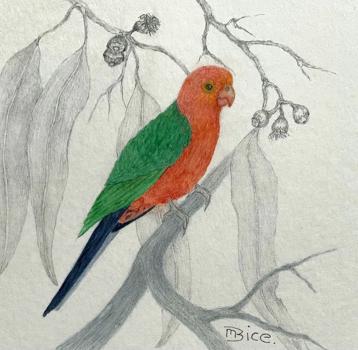 GOST_Margaret Bice_King Parrot_mixed media.jpg