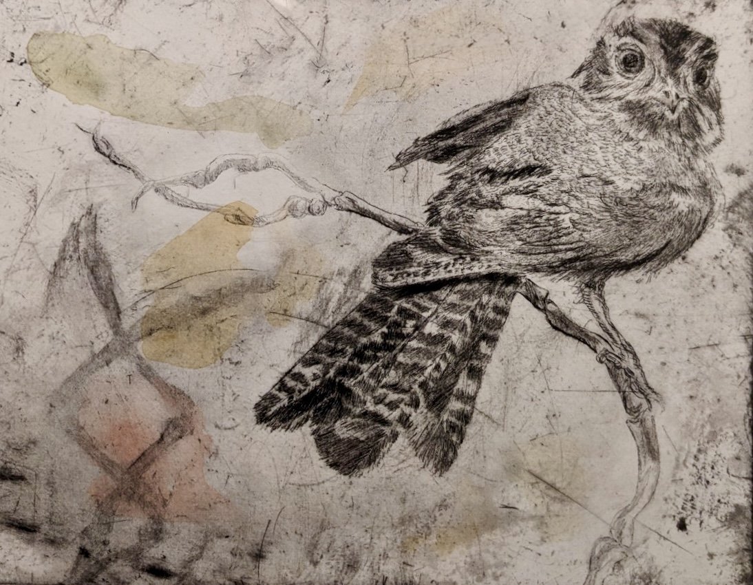 GOST_Martin King_Birdwatch #13_detail.jpg