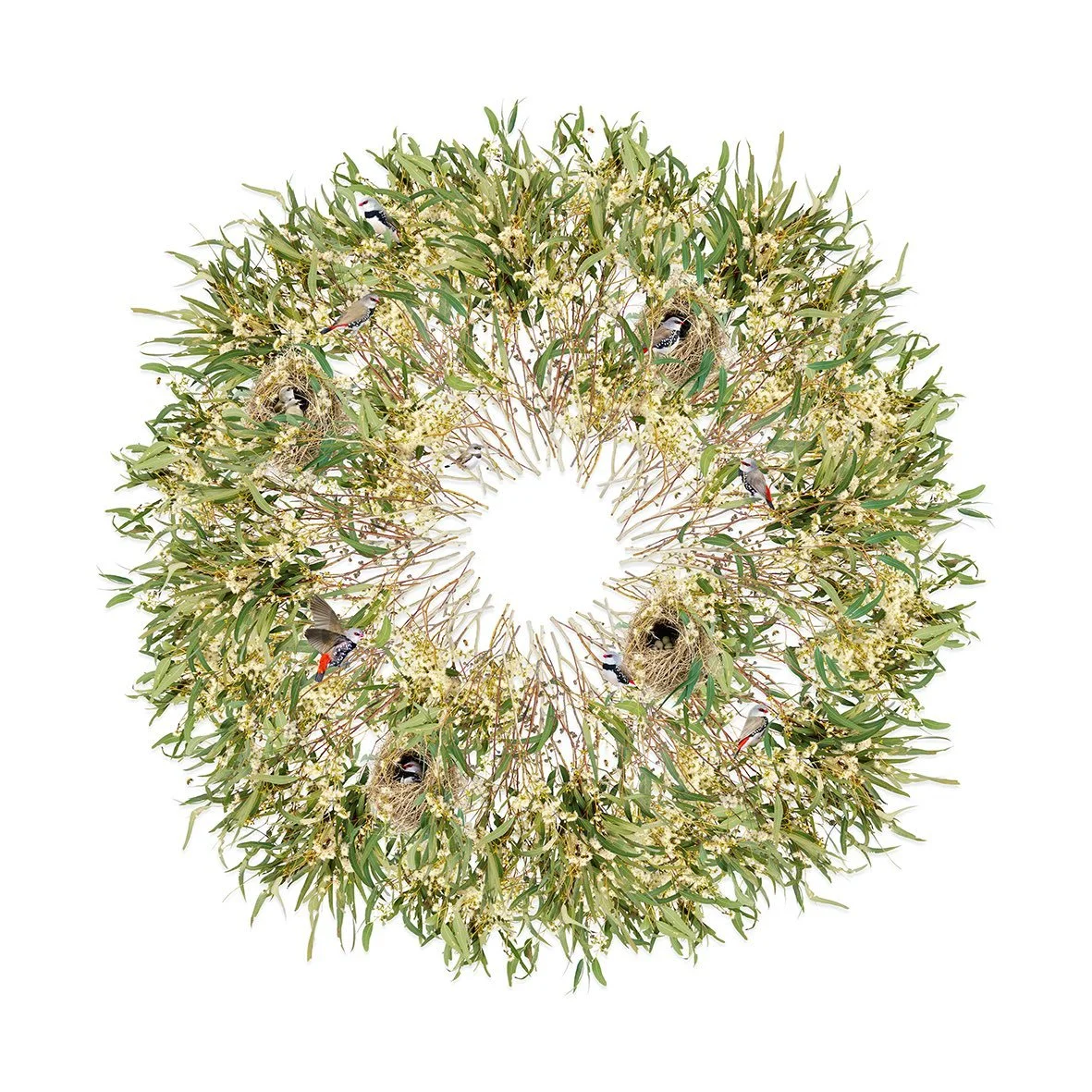 GOST_Jason McDonald_Diamond firetailfinch_unframed print_low res.jpg