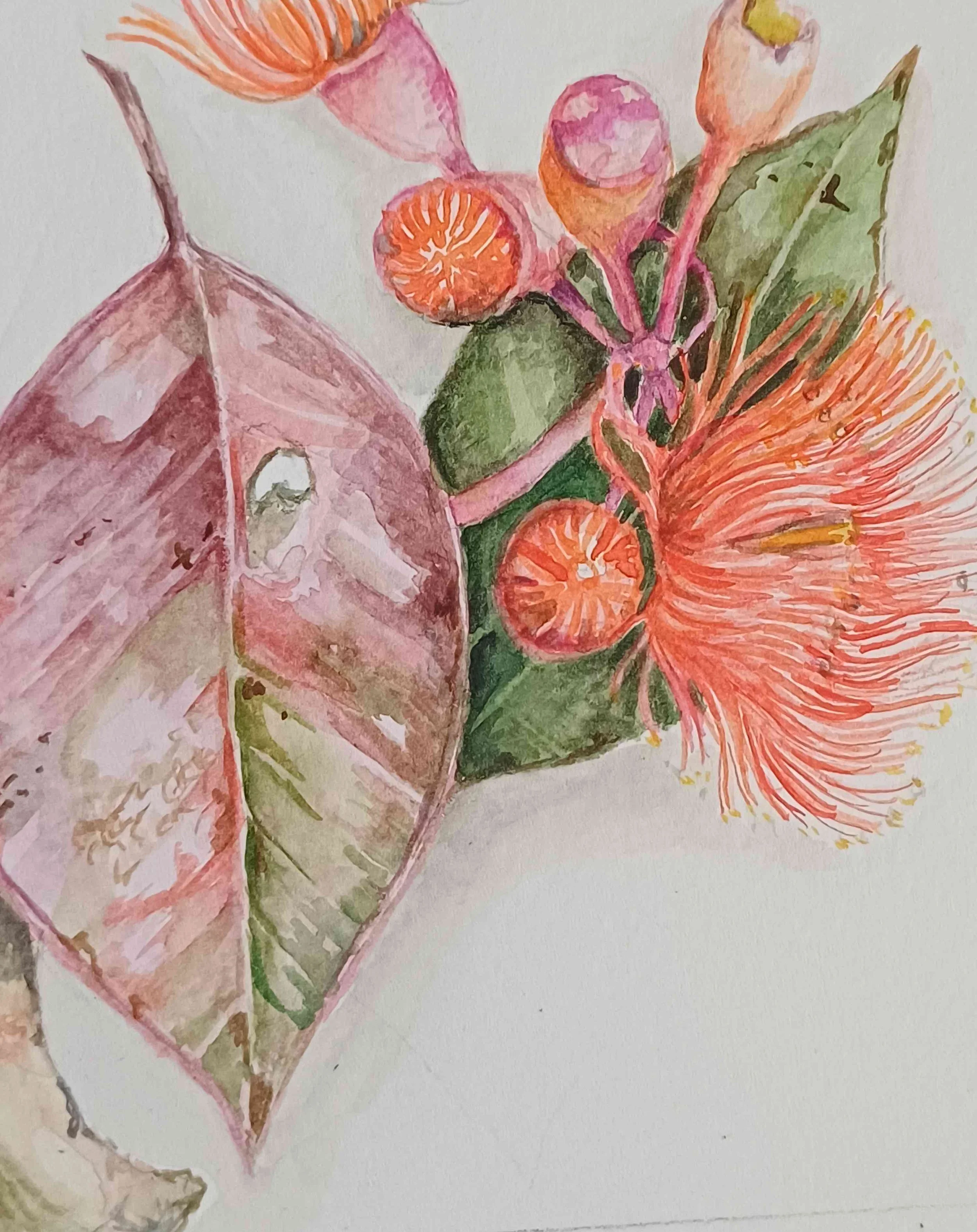 GOST_Fiona Boxall_look down_low res.jpg