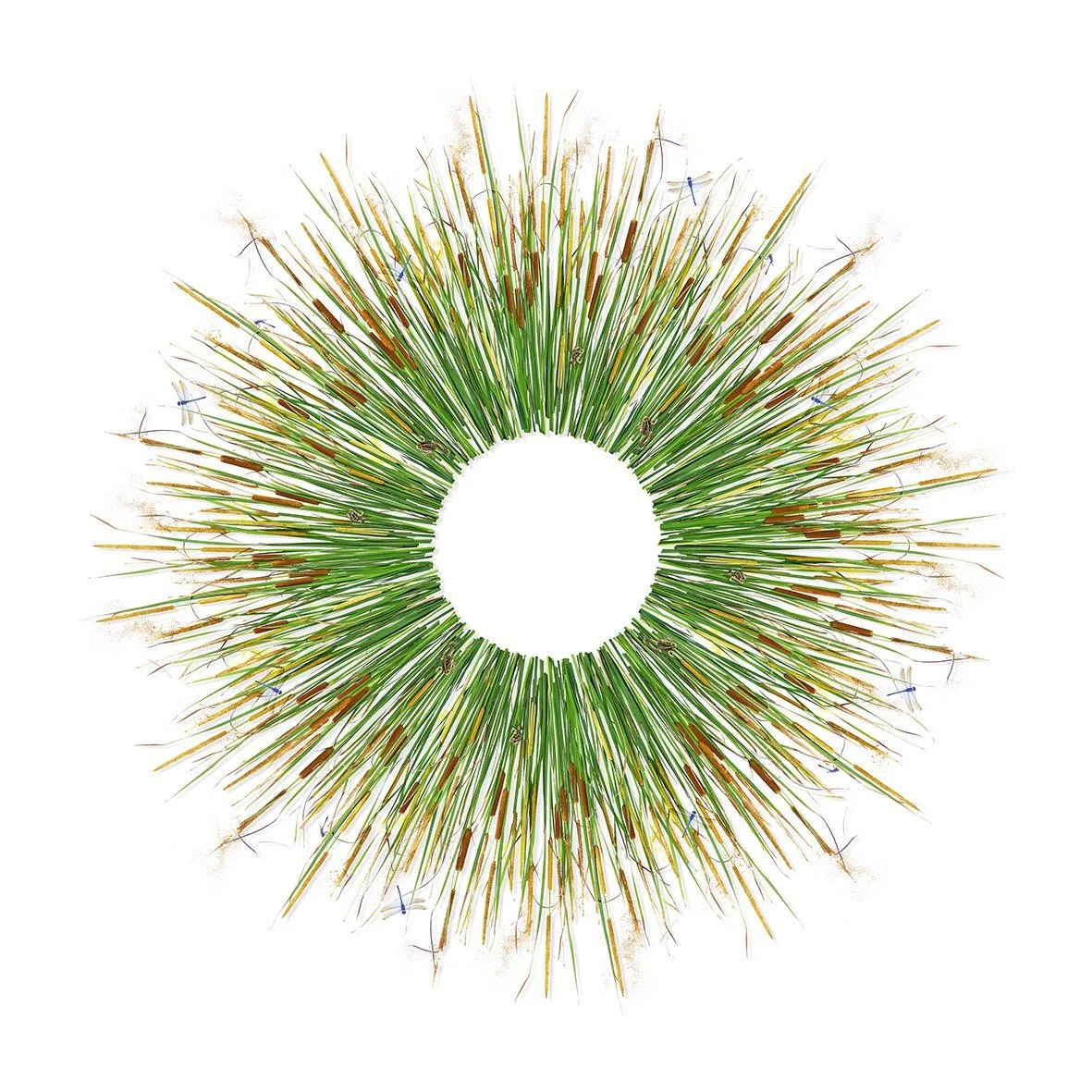 GOST_Jason McDonald_Bulrush, Dragonflies and Frogs_unframed_low res.jpg