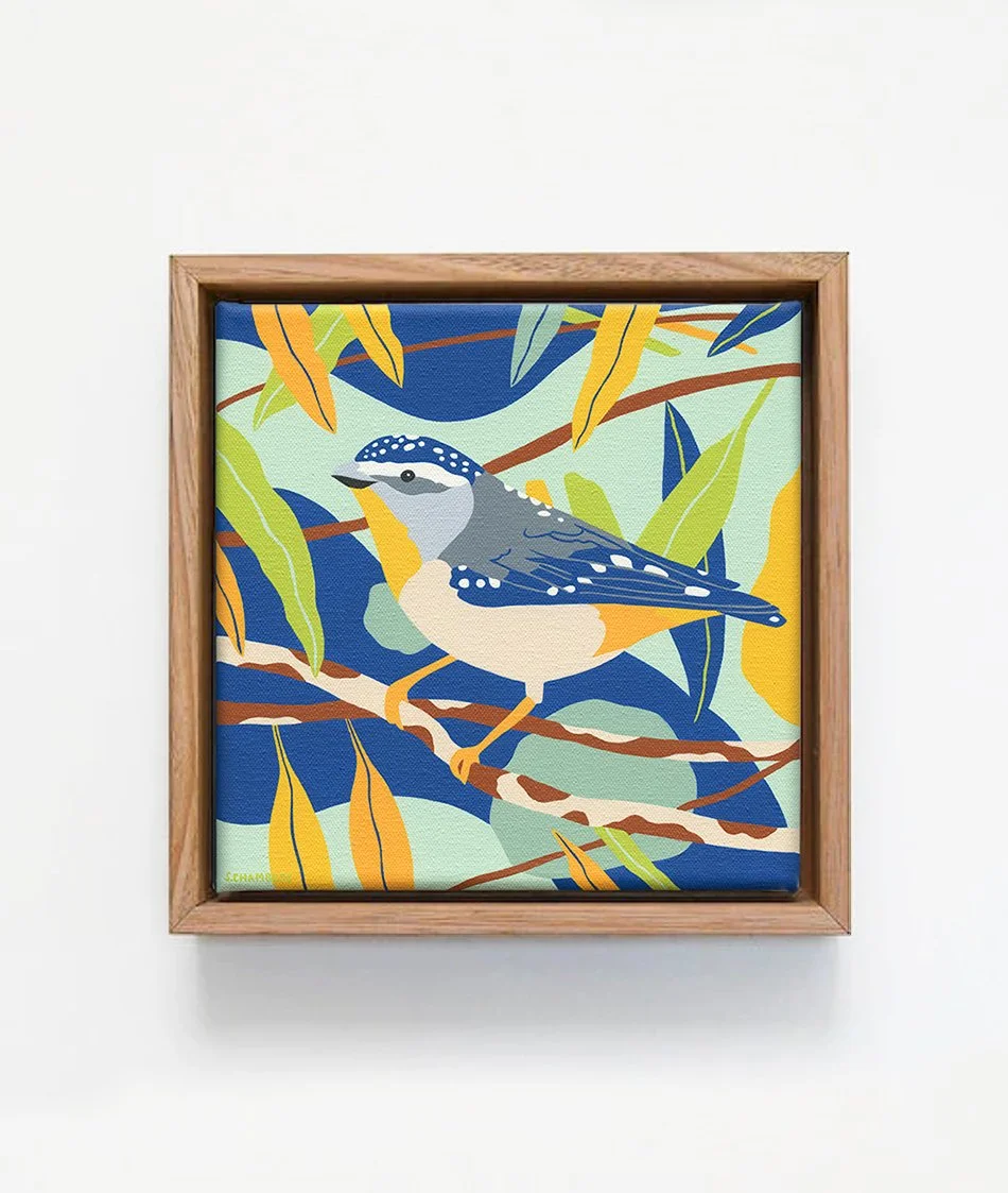 Spotted-Pardalote-Painting-Stephanie-Chambers-ICON-Copyright-Outer-Island.jpg