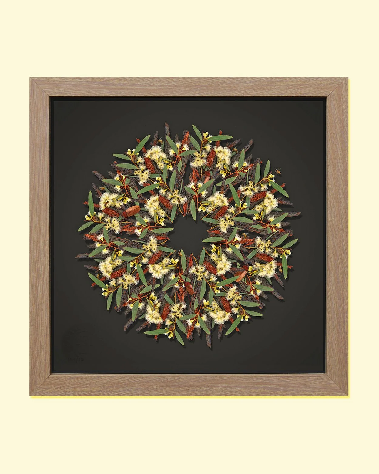 GOST_Jason McDonald_Ironbark bees and beetles_Lemon.JPG