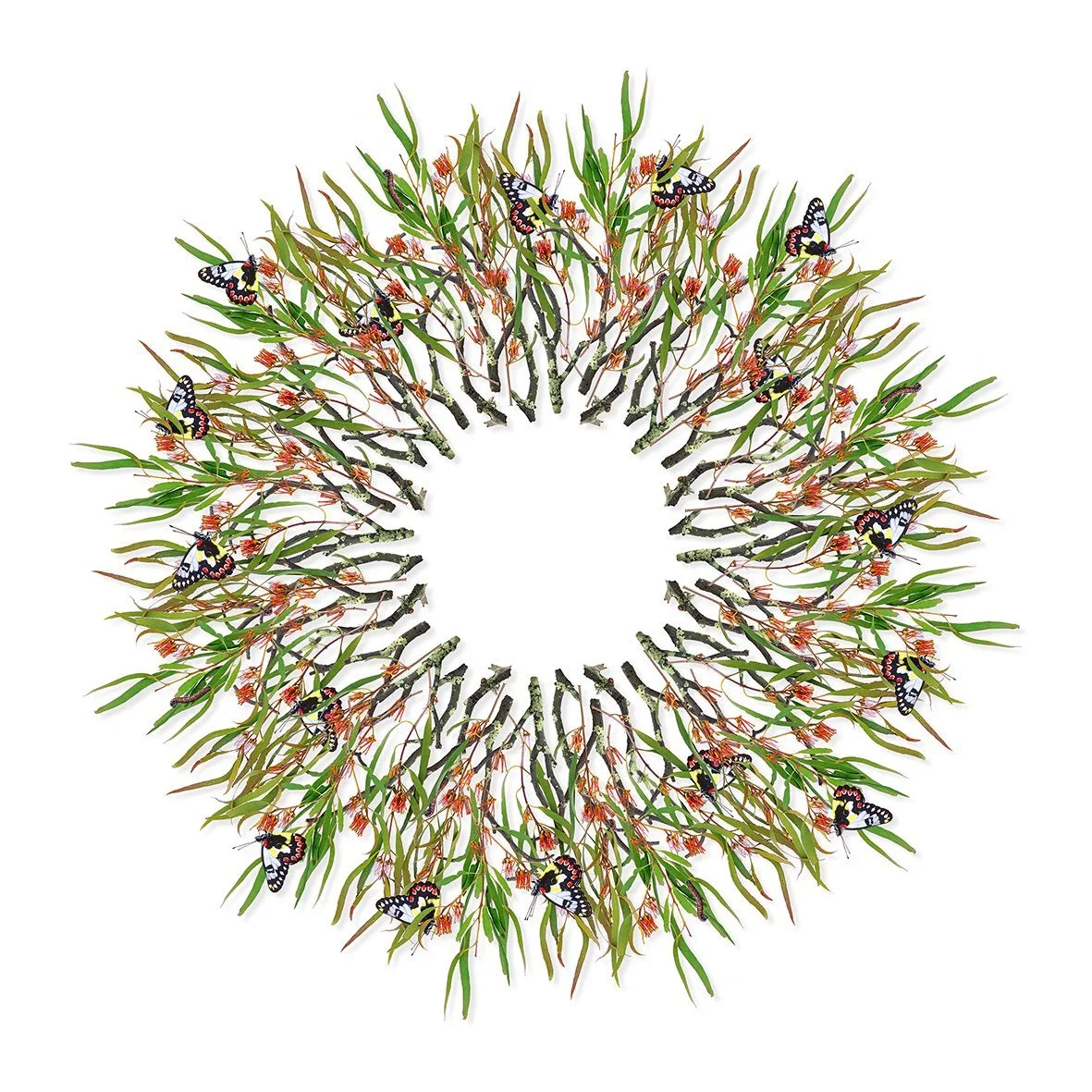 GOST_Jason McDonald_Box Mistltoe_unframed_low res.jpg