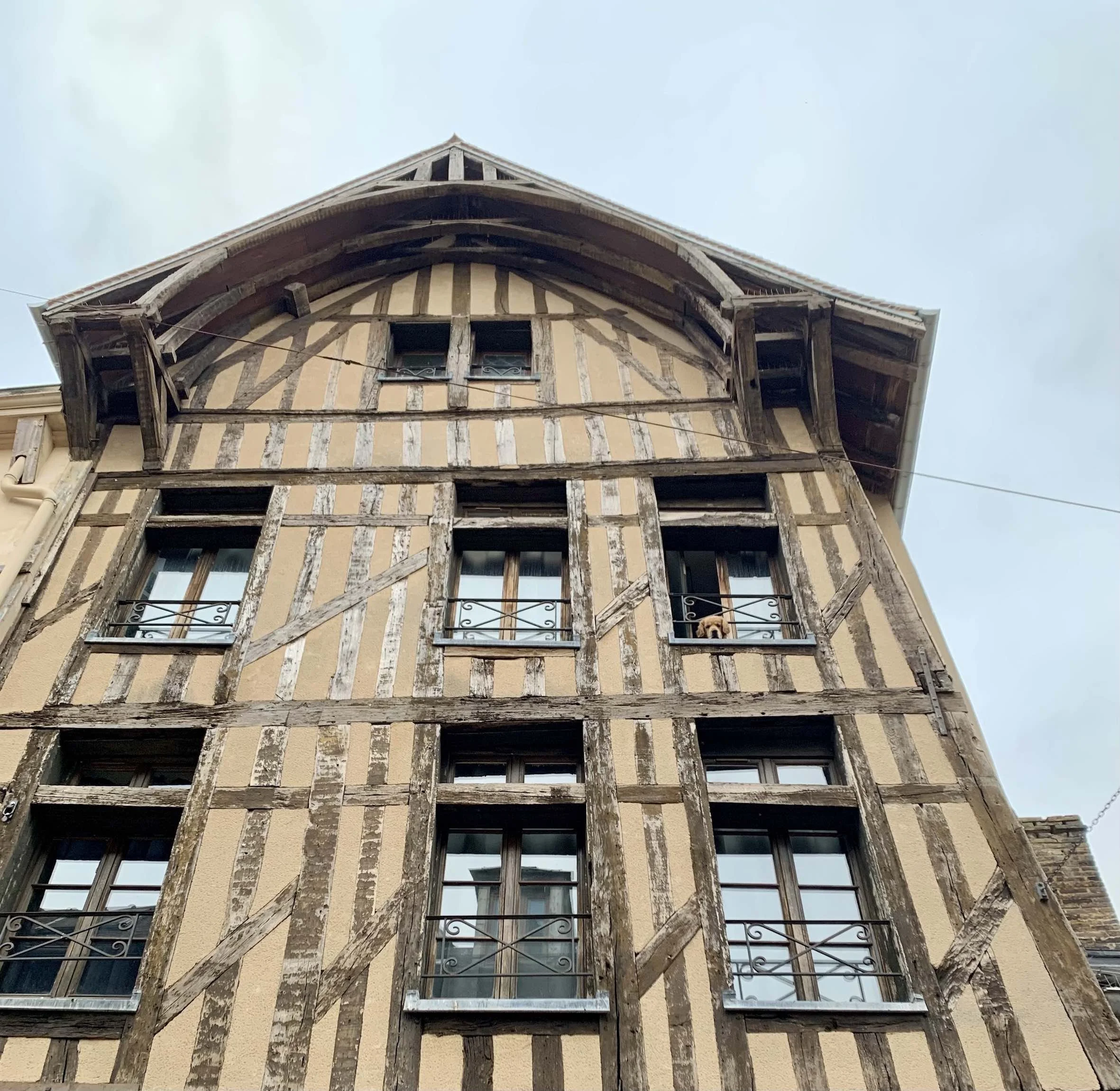 GOST_Melissa Hammond_Peek a boo in Troyes _low res.jpg