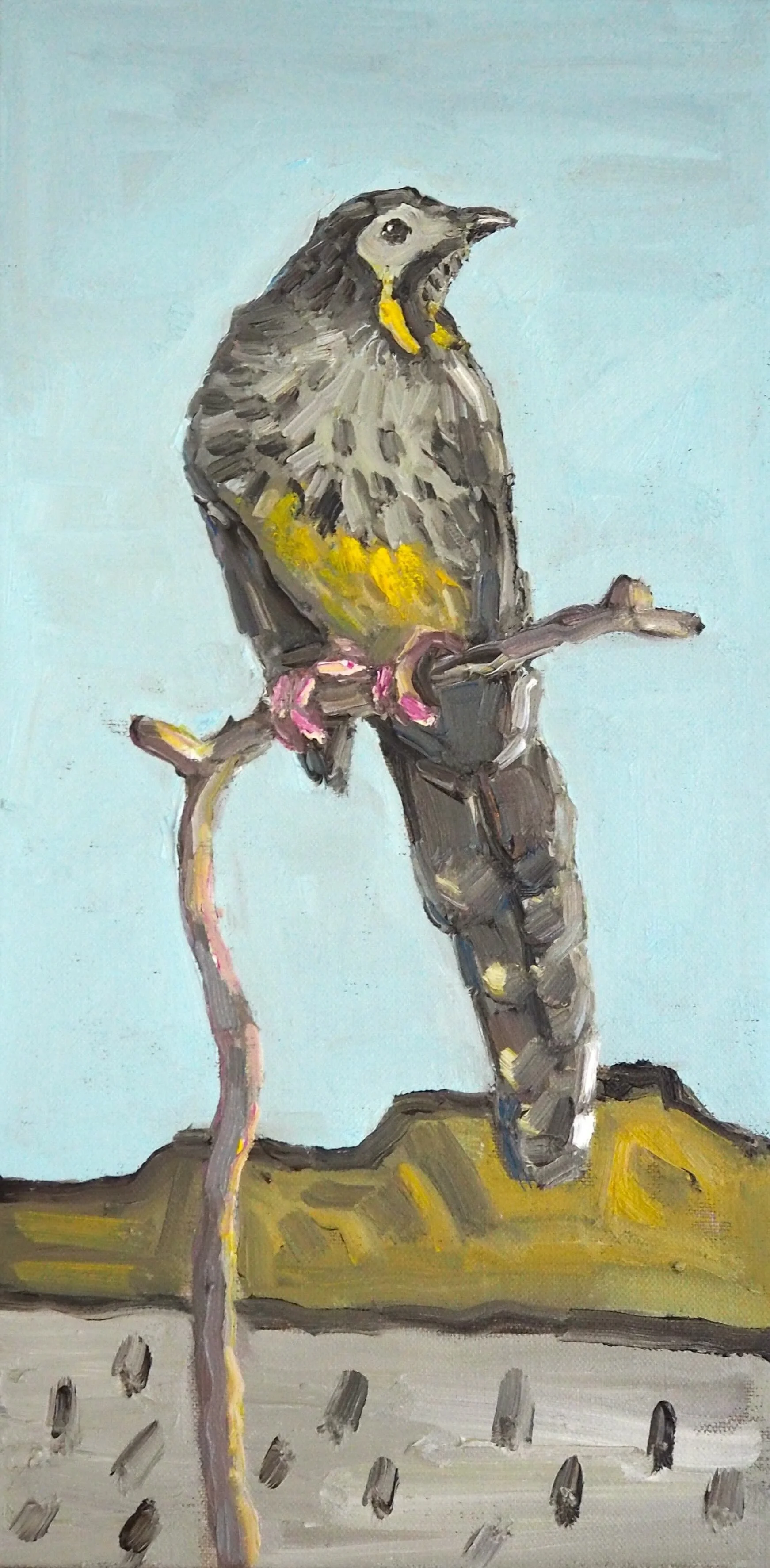 GOST_Jane Guthleben_Wattle Bird_cropped_low res.jpeg