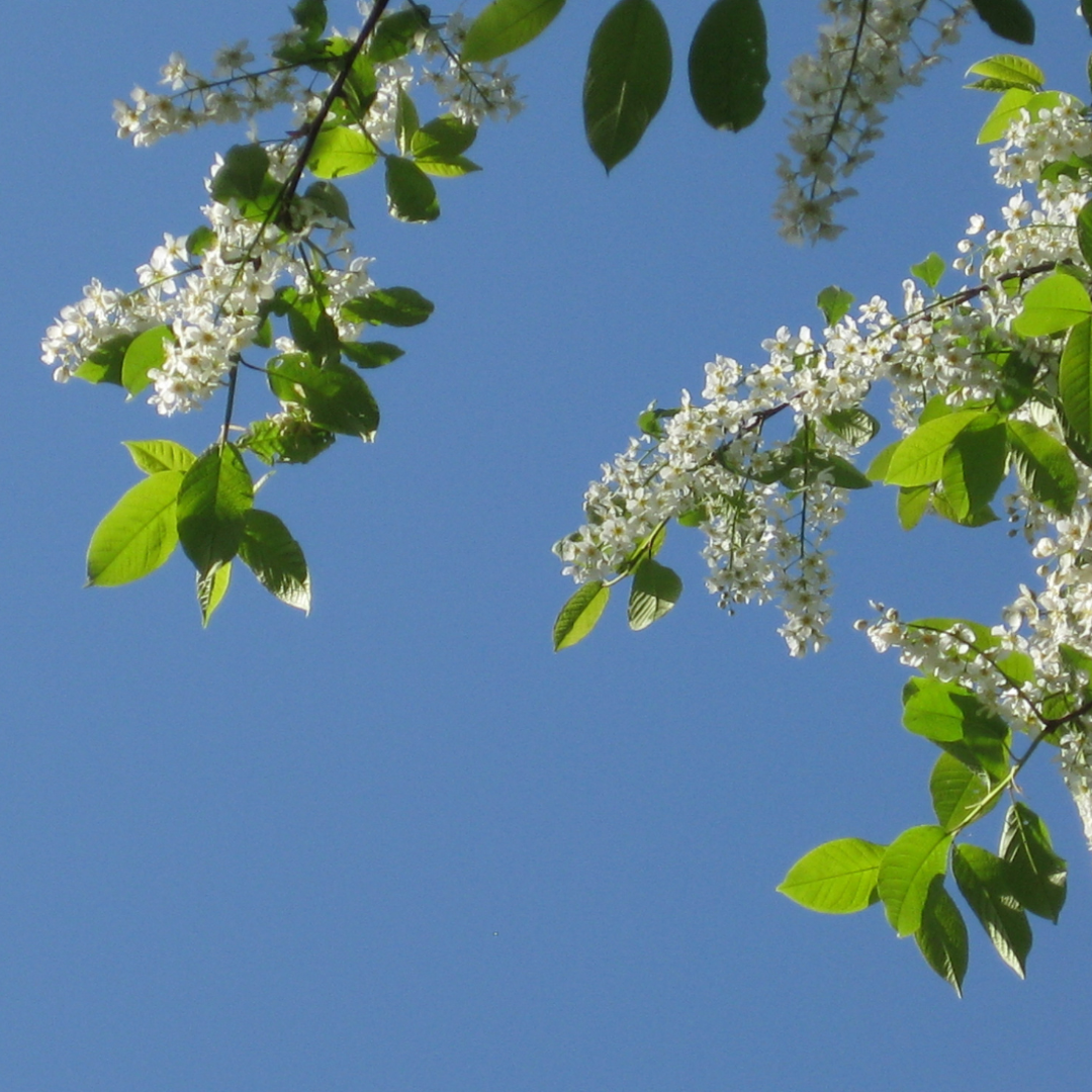 IK IG-feed - 2026-03-19T190211.977.png