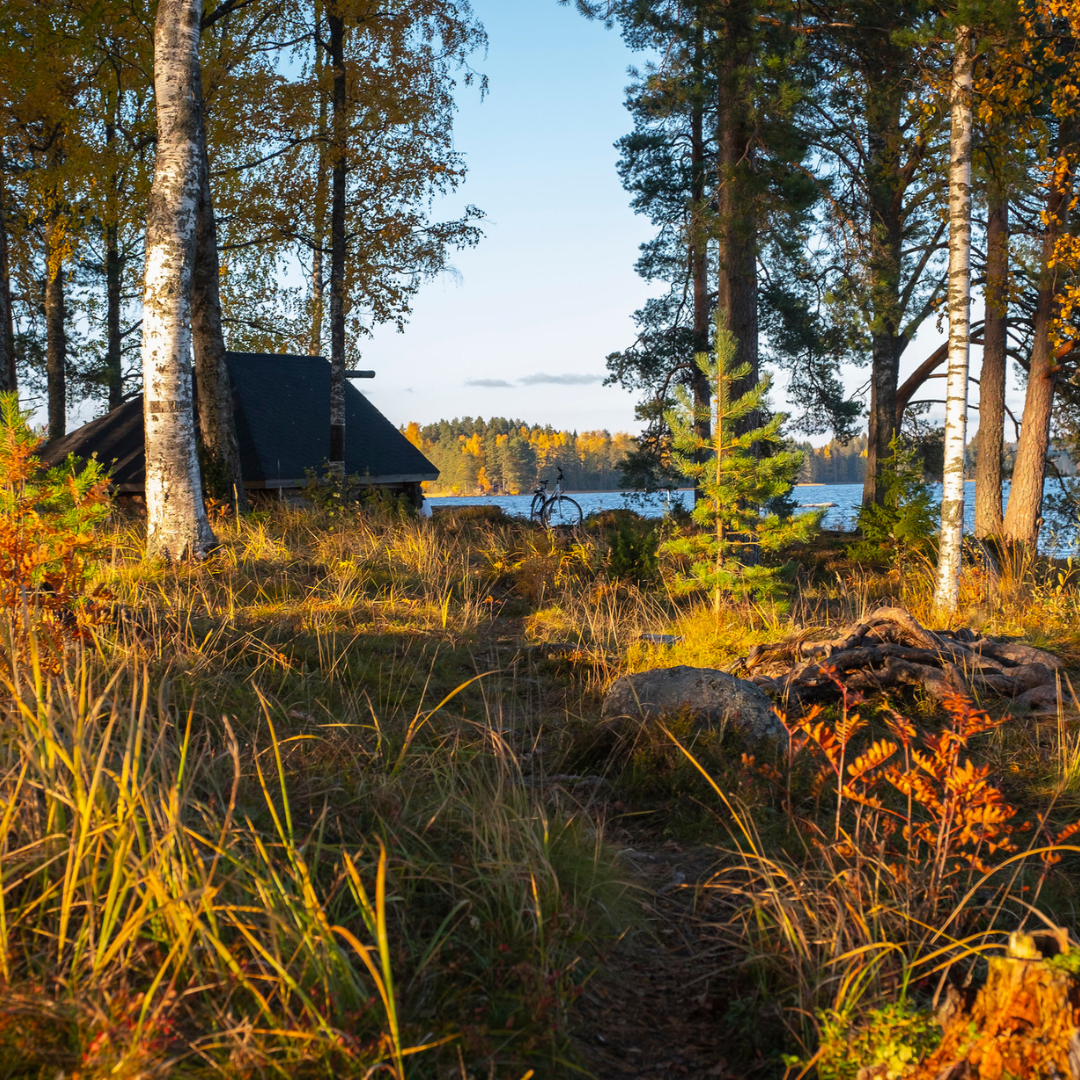 IK IG-feed - 2026-03-19T191159.562.png