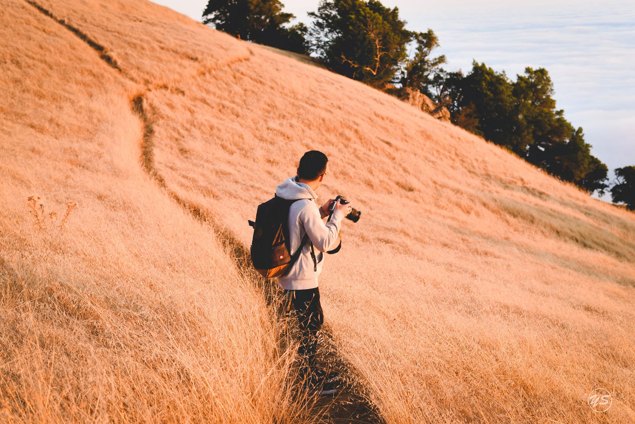 Mount Tamalpais, San Francisco