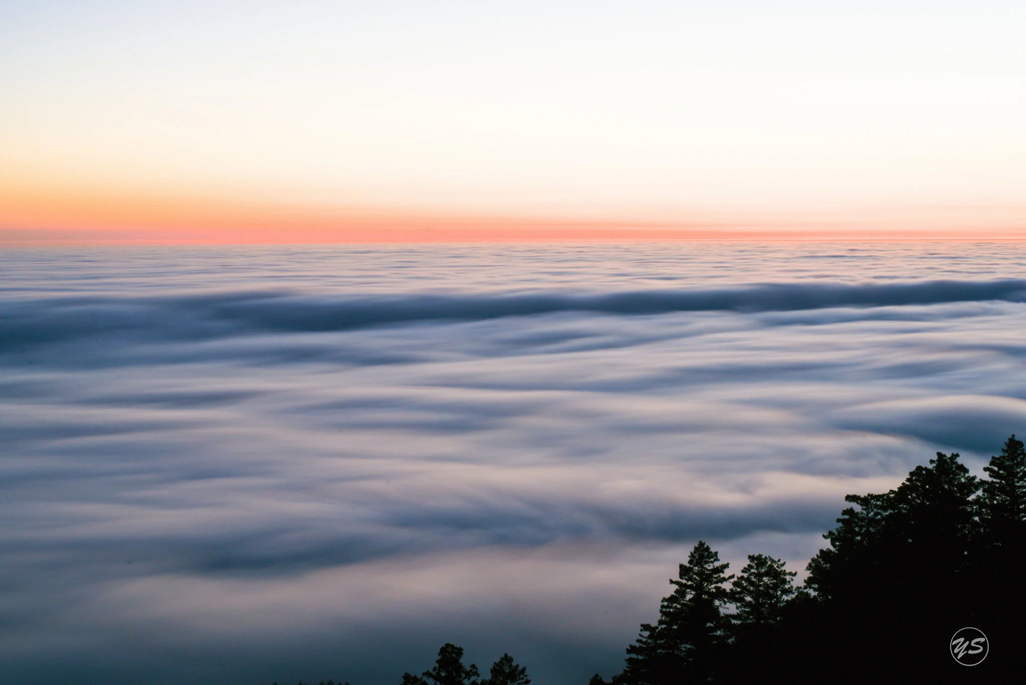 Mount Tamalpais, San Francisco 