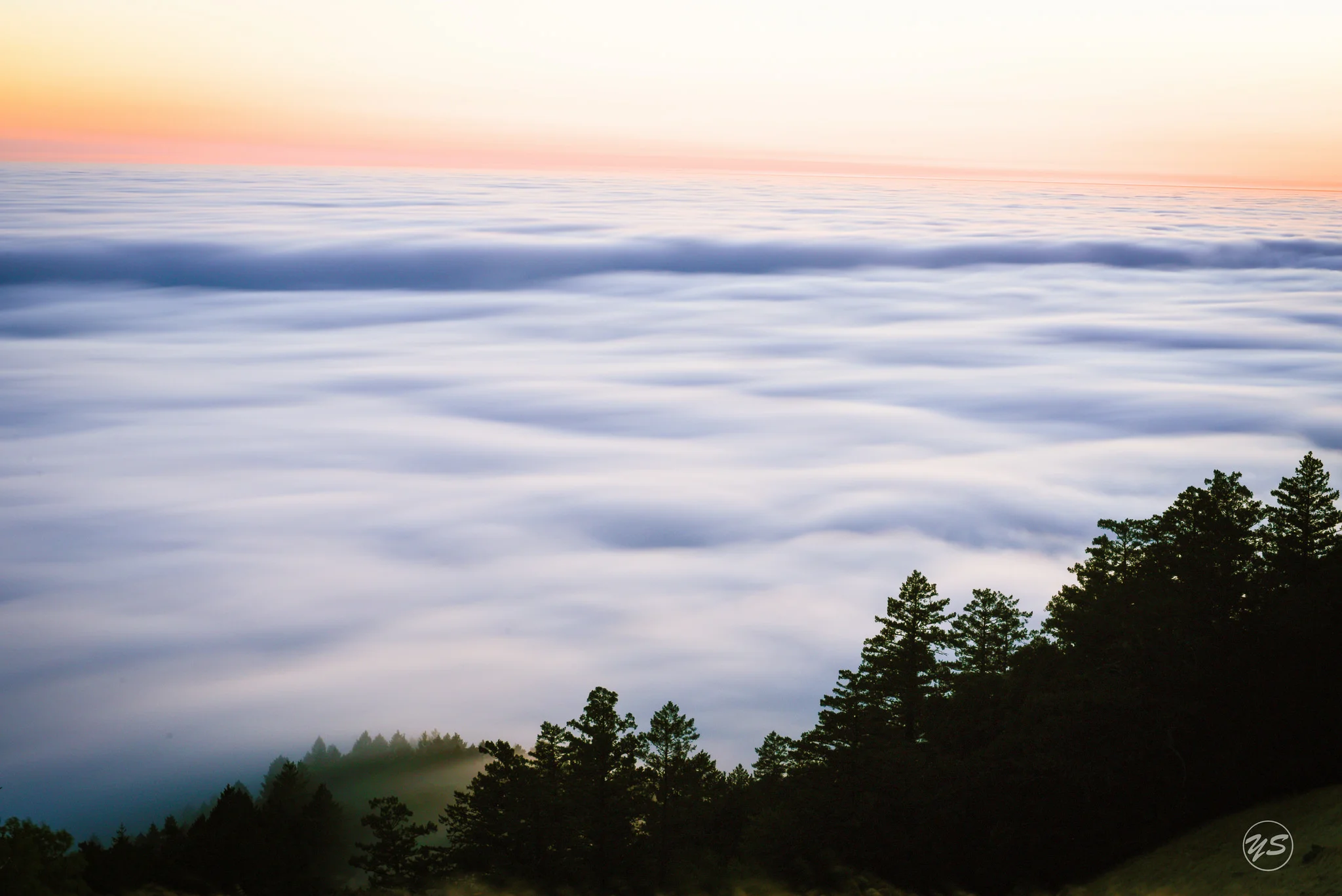 Mount Tamalpais, San Francisco