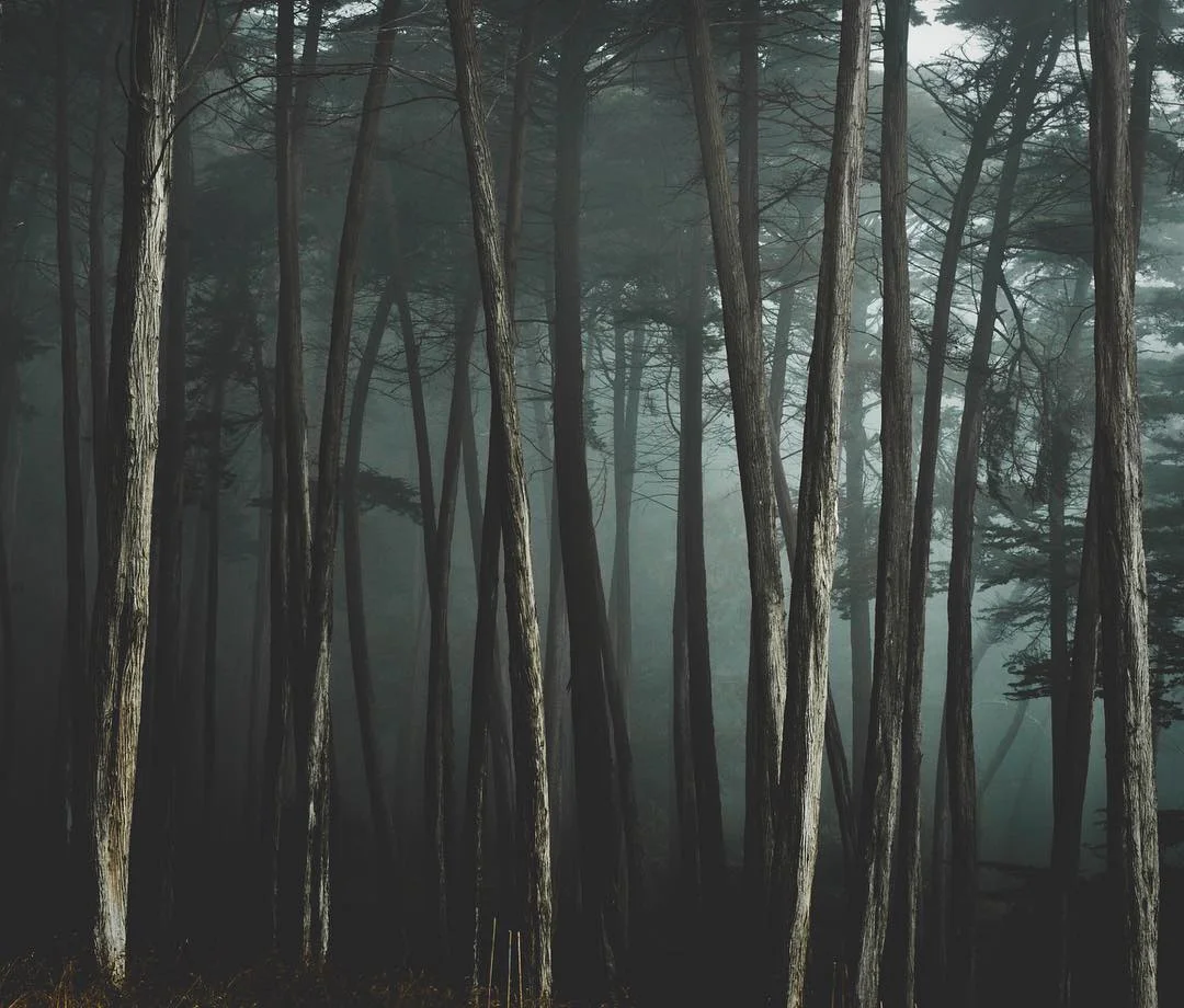 Presidio, San Francisco 