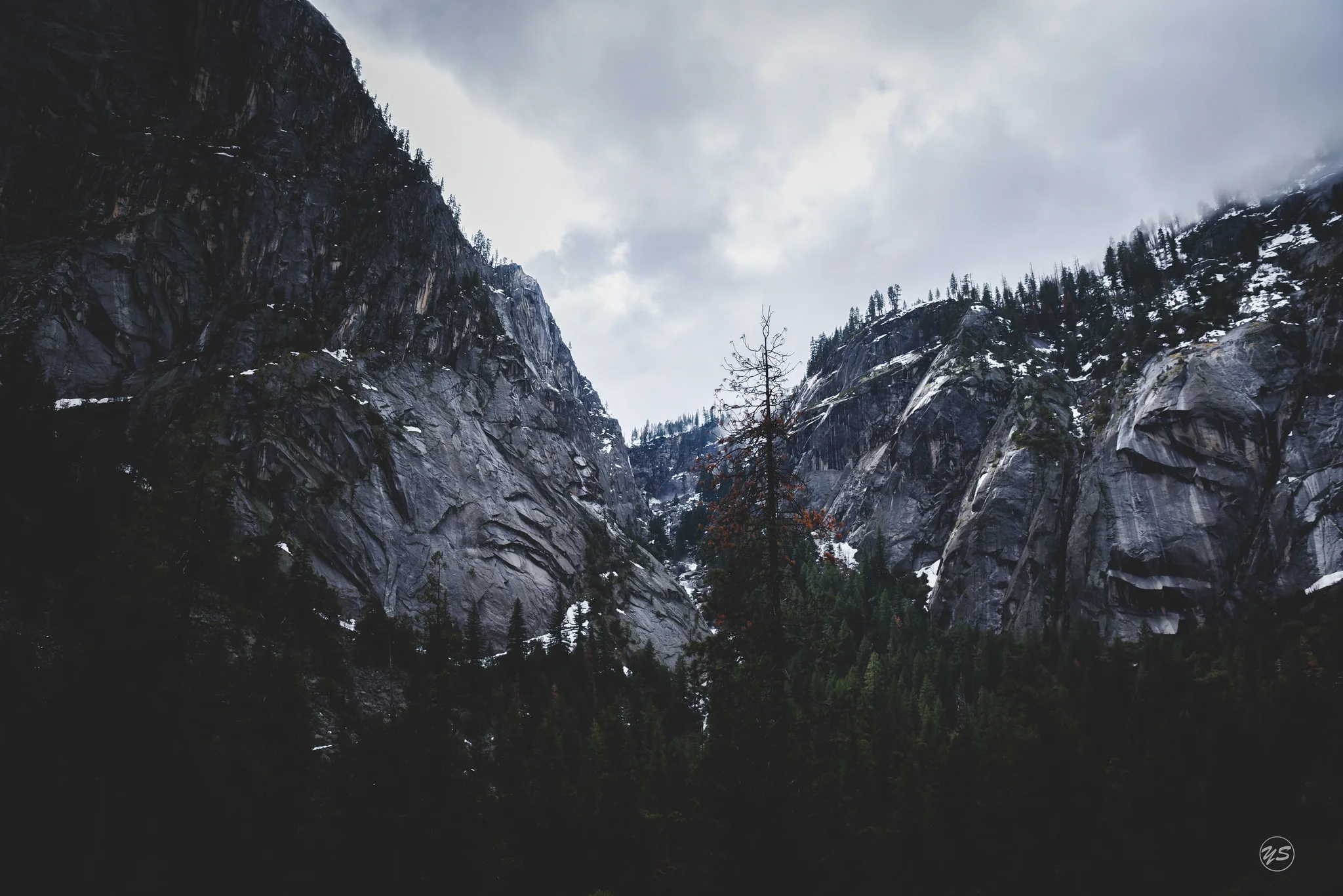 Yosemite National Park, California