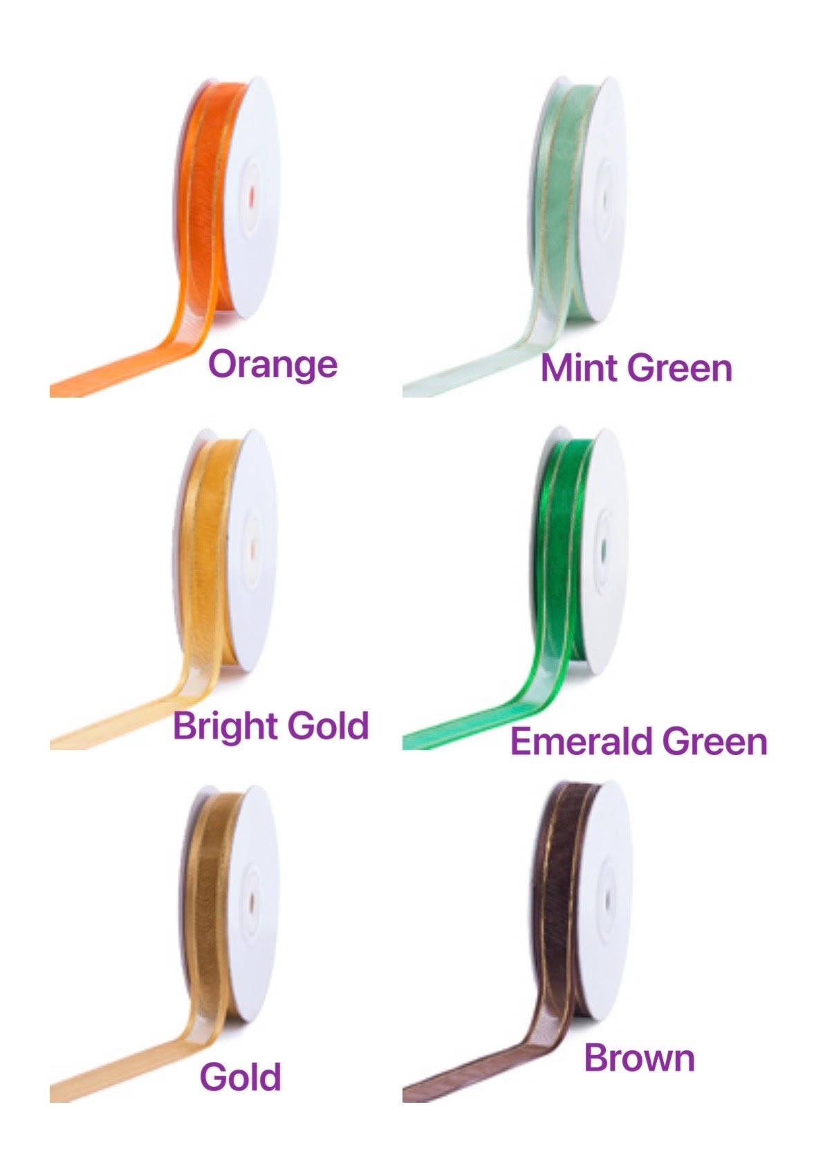 Color_1.jpeg