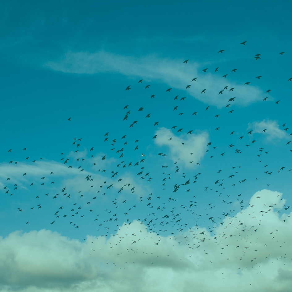 Bullfrog: attention points in GlassFrog