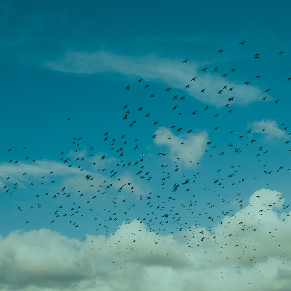 How Zappos started with Holacracy