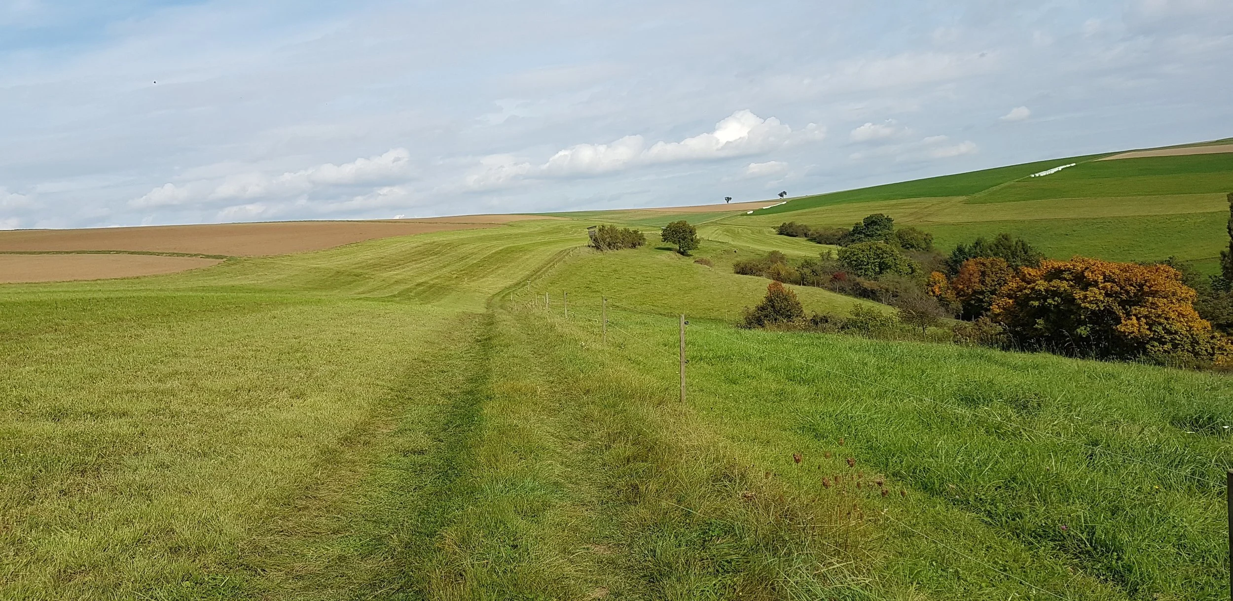 Typical Rheinsteig scenery.