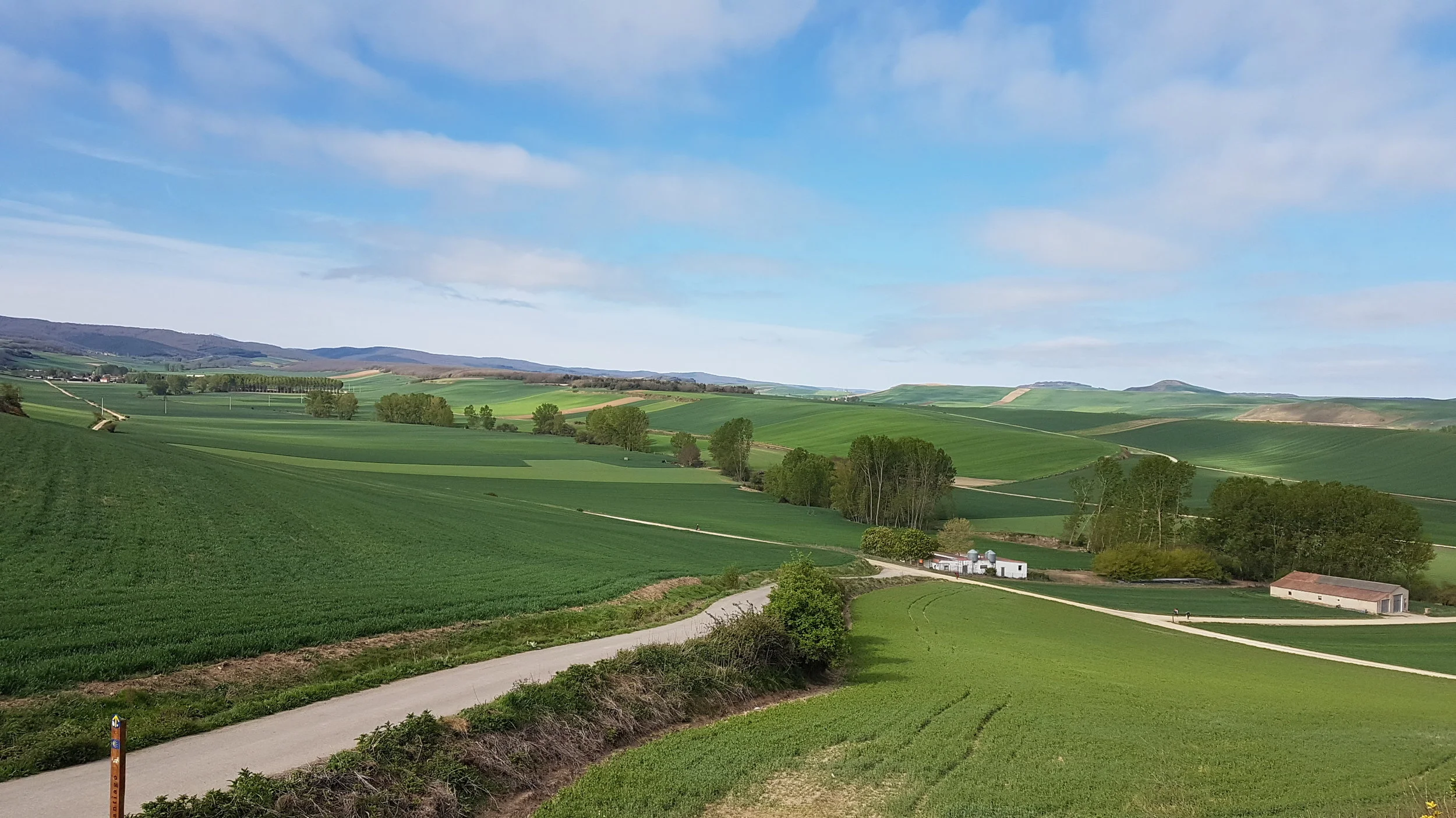 Typical Camino scenery.