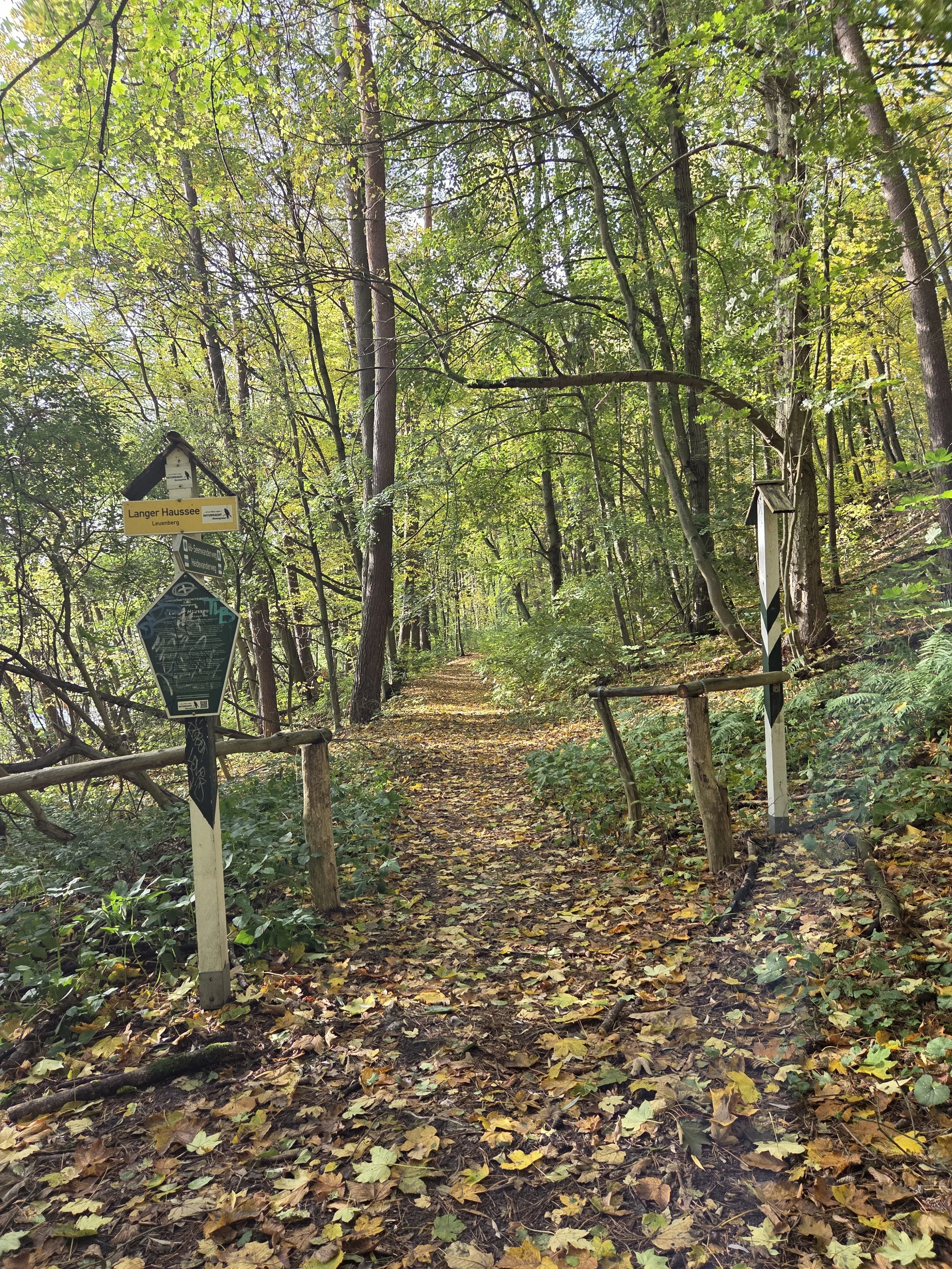 1TrailHead.jpg
