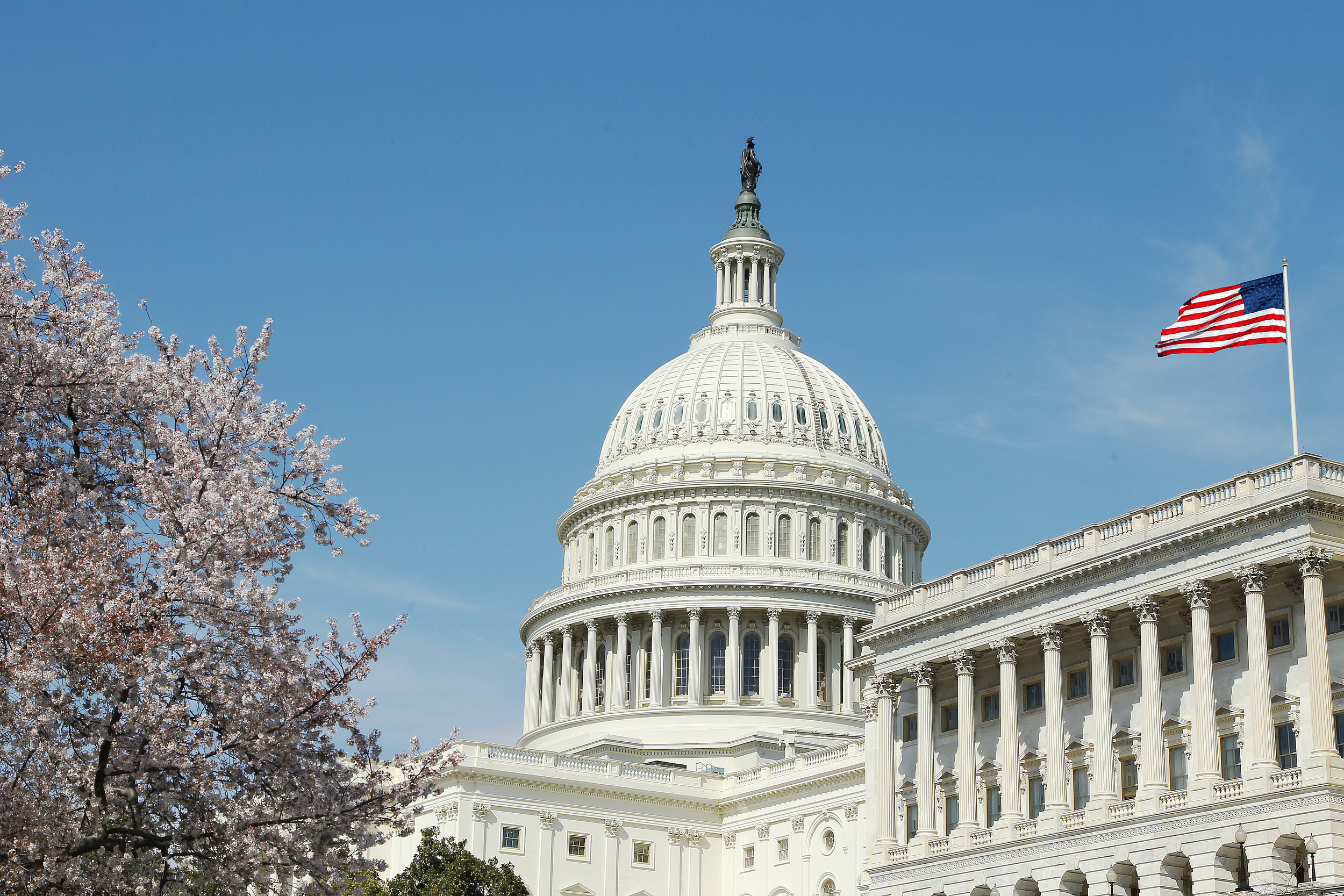 Capitol Photo with flag.jpg