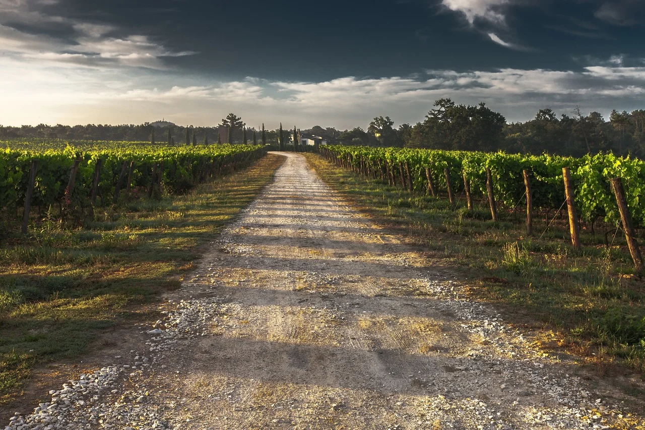 country-lane-gravel-road-tuscany-way-52725.jpeg