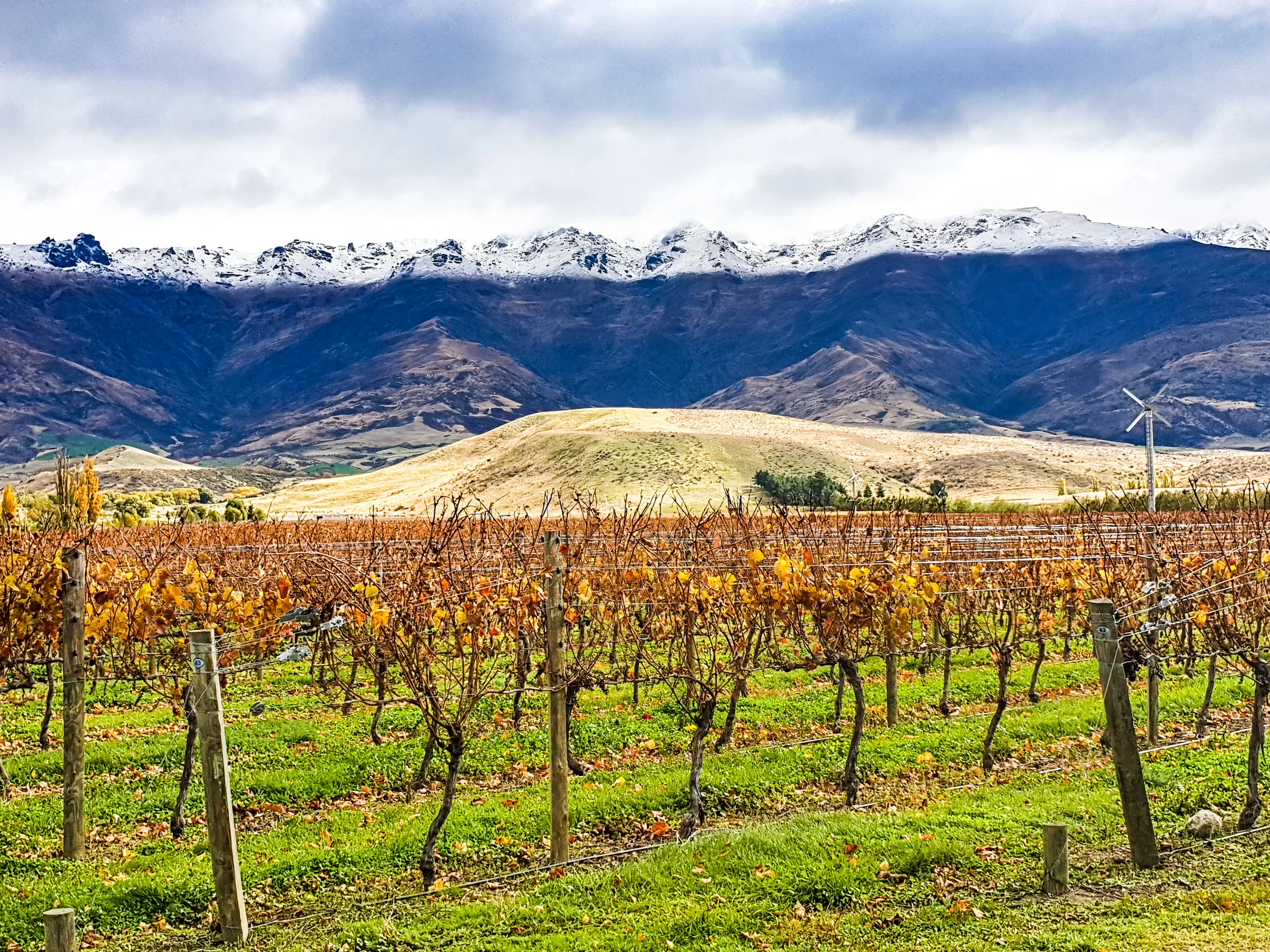 Autumn wine tour