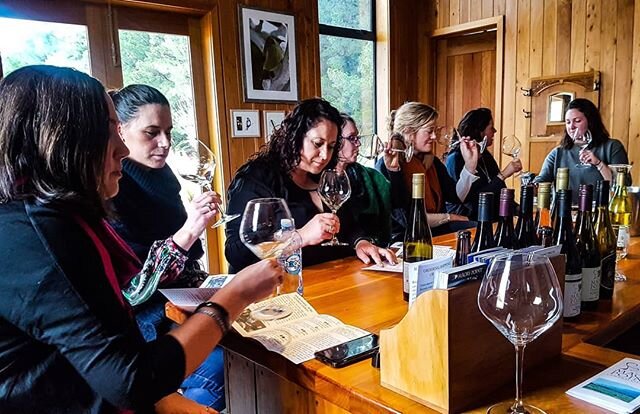 Super Saturday with a stunning set of sheilas sampling some seriously sippable stuff 😆 #badalliteration .
.
.
.
#nzwine #nzvineyards #wine #winetour #roaringwinetours #winelife #sommlife #centralotago #pinotnz #pinotcentral #boutiquewine #boutiquevi