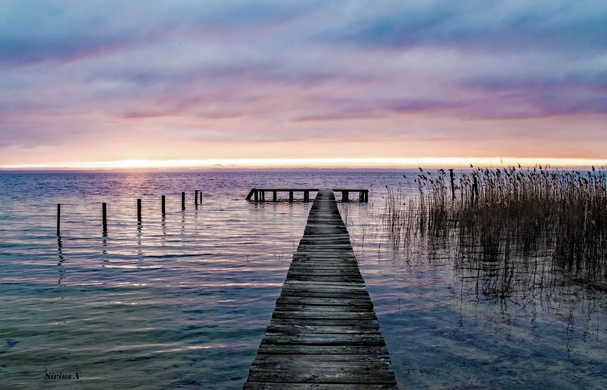 sirius-x-photo-arcachon.jpg