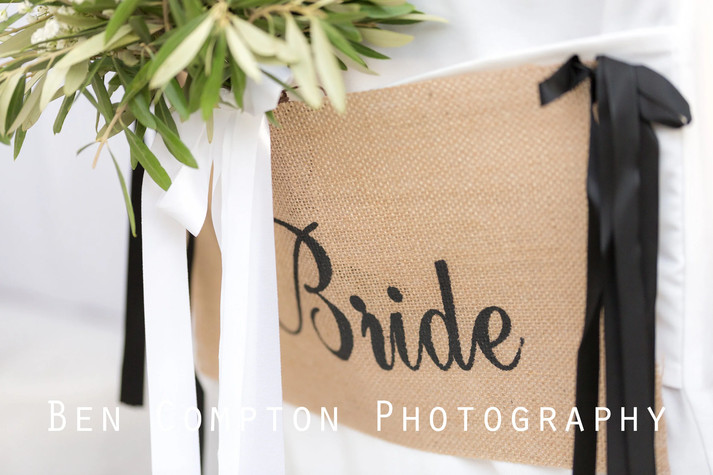 Wedding Bride Chair BIG Full WM.jpg