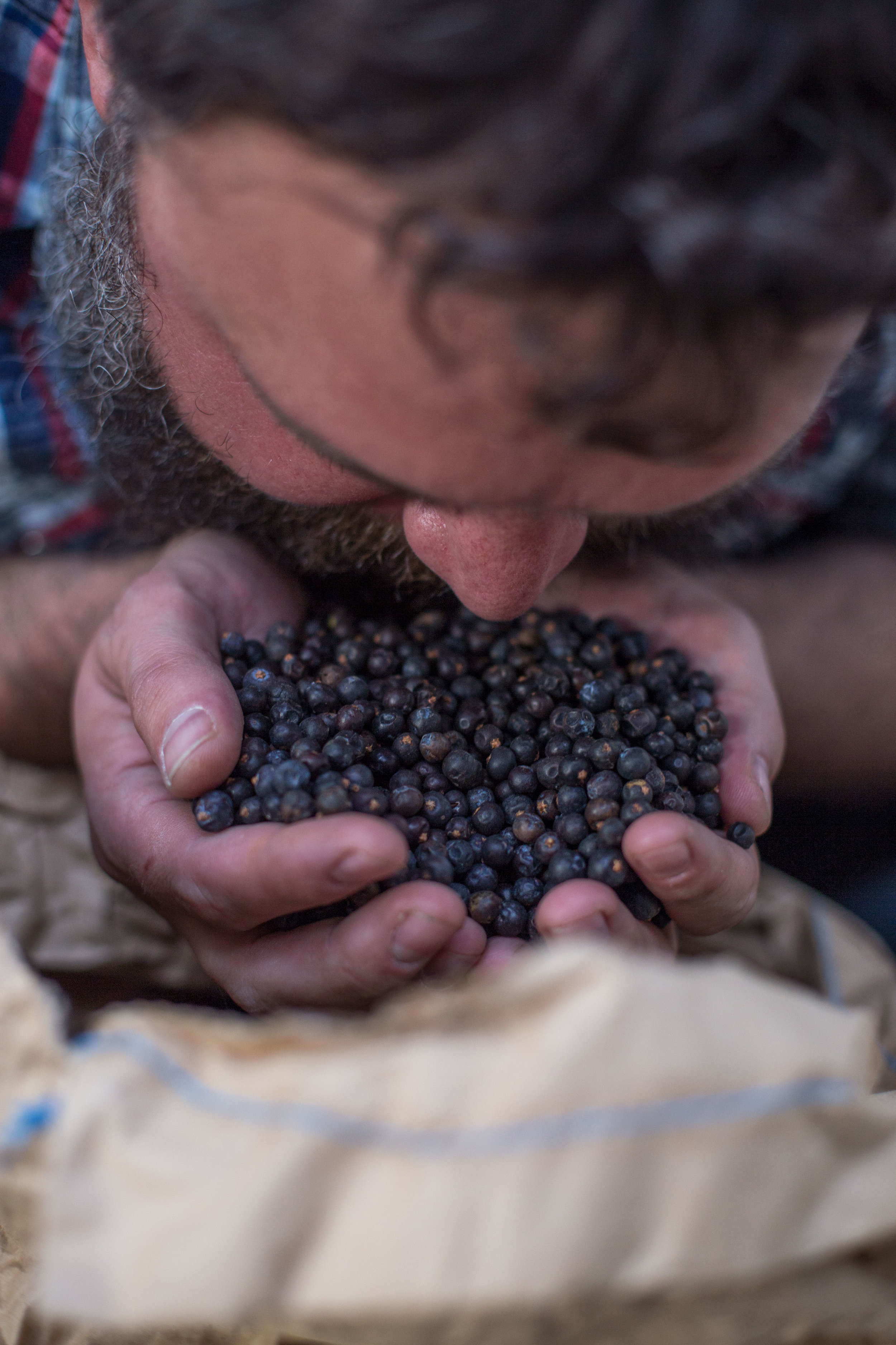  Shaun smells a handful of dried juniper berries from one of the ingredient sacks kept in storage, combinations of which are used to flavour the different gin varieties they produce. 