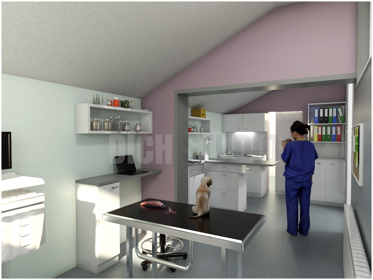 Lab vet clinic idea