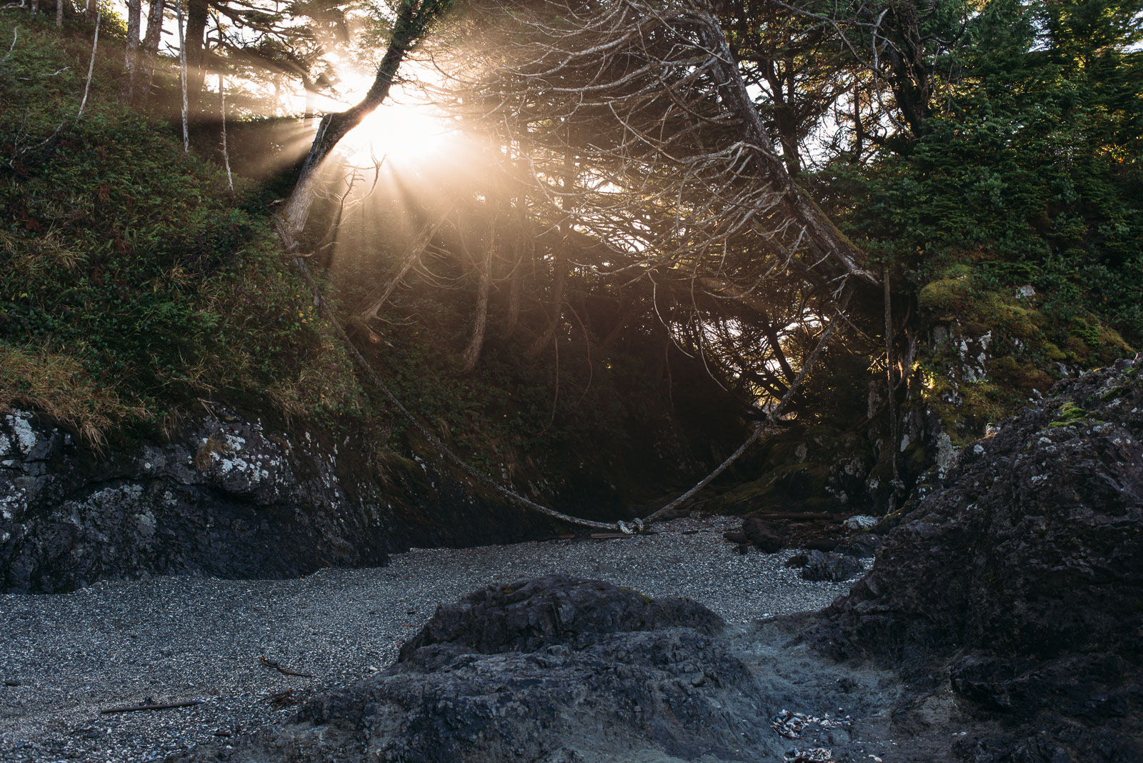 falco_mueller_esowista_tofino_11