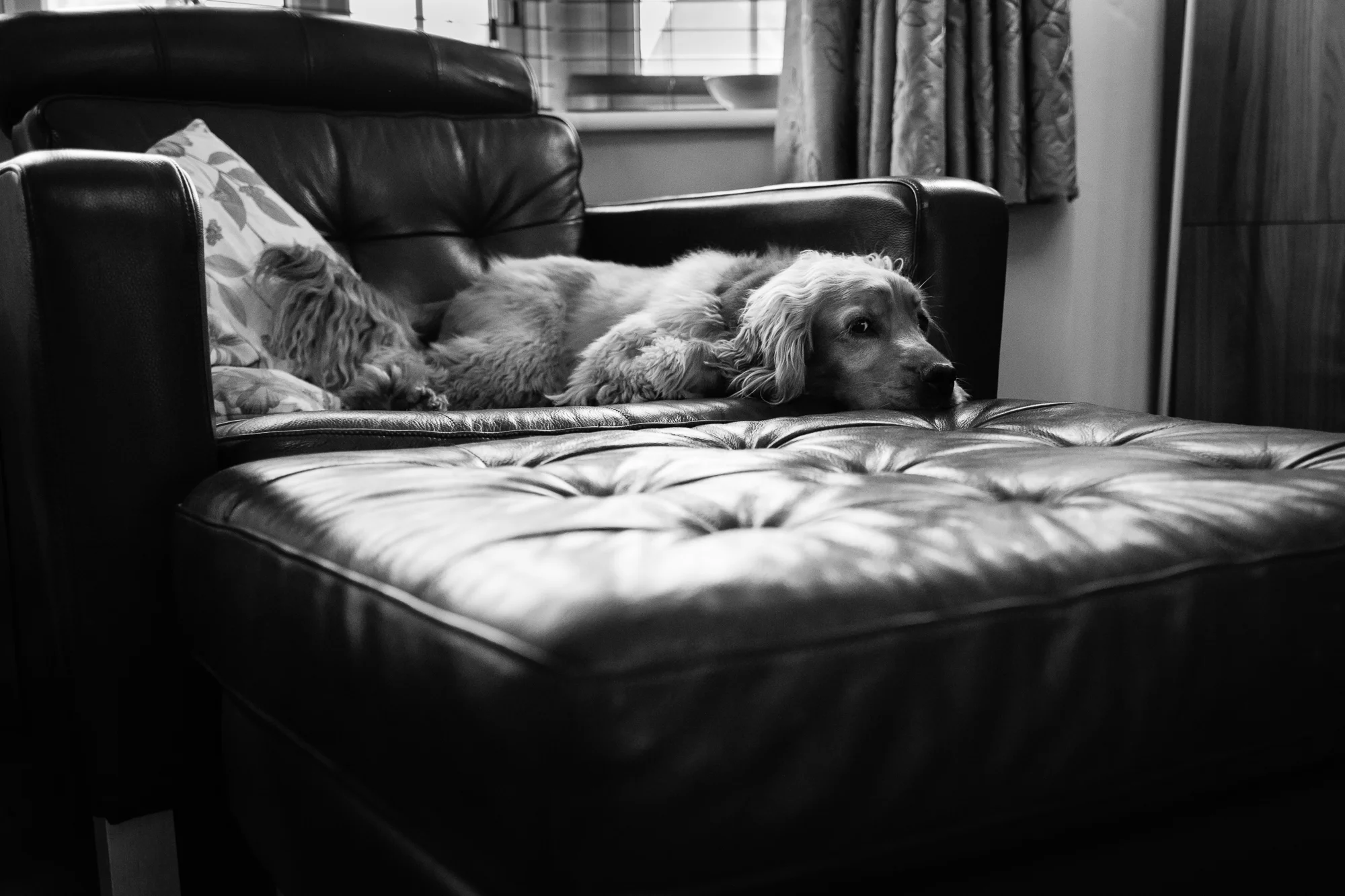 Alice_Chapman_Photography_Cambourne_Family-16.jpg