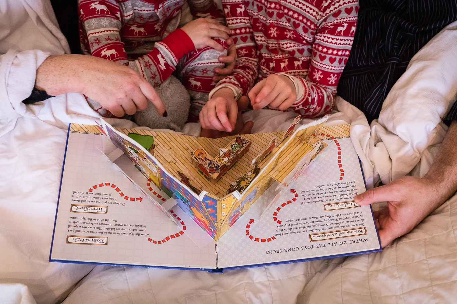 Alice-Chapman-Photography-Books-13.jpg