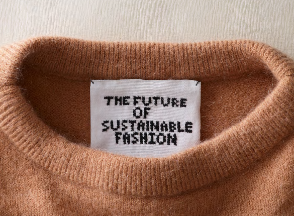 STYLIST: The Future of Sustainable Fashion