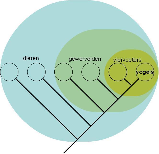 Verwanten van de vogels.